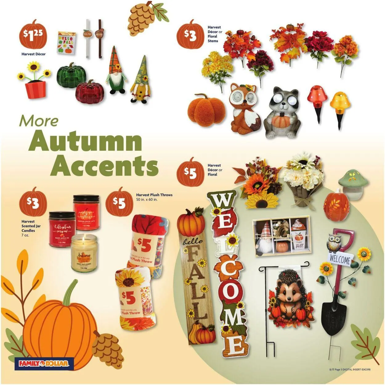 Weekly ad Family Dollar Current weekly ad from August 17 to August 23 2025 - Page 5
