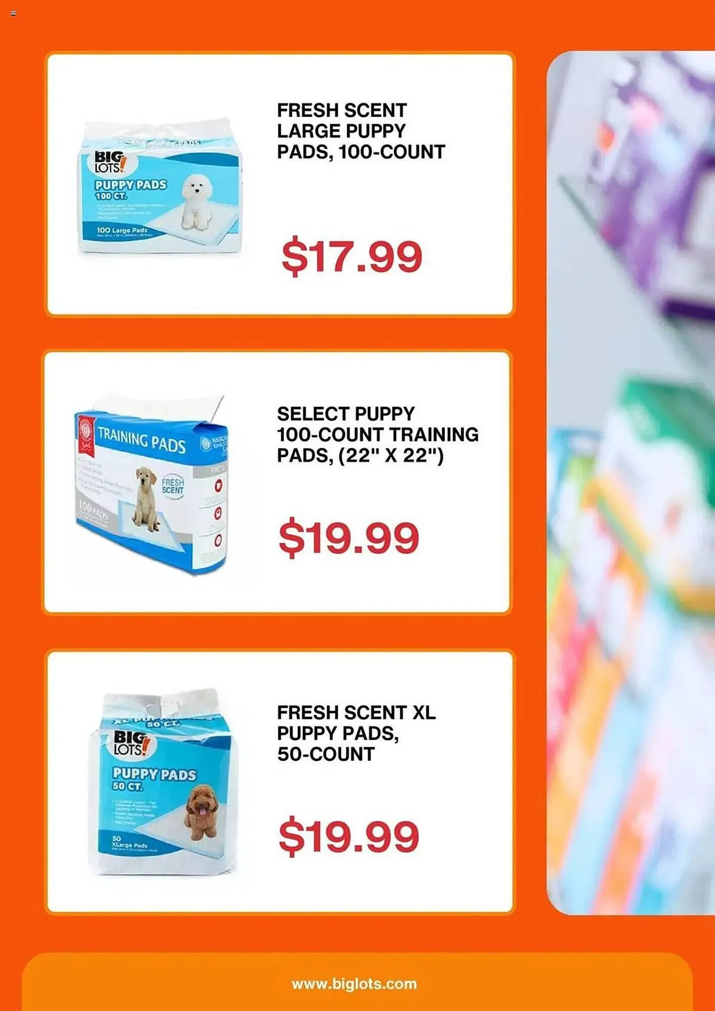 Weekly ad Big Lots Weekly Ad from December 30 to January 6 2026 - Page 3