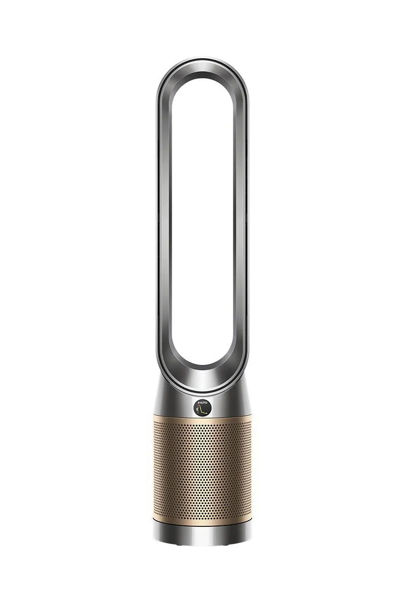 Dyson Purifier Cool PC2 De-NOx