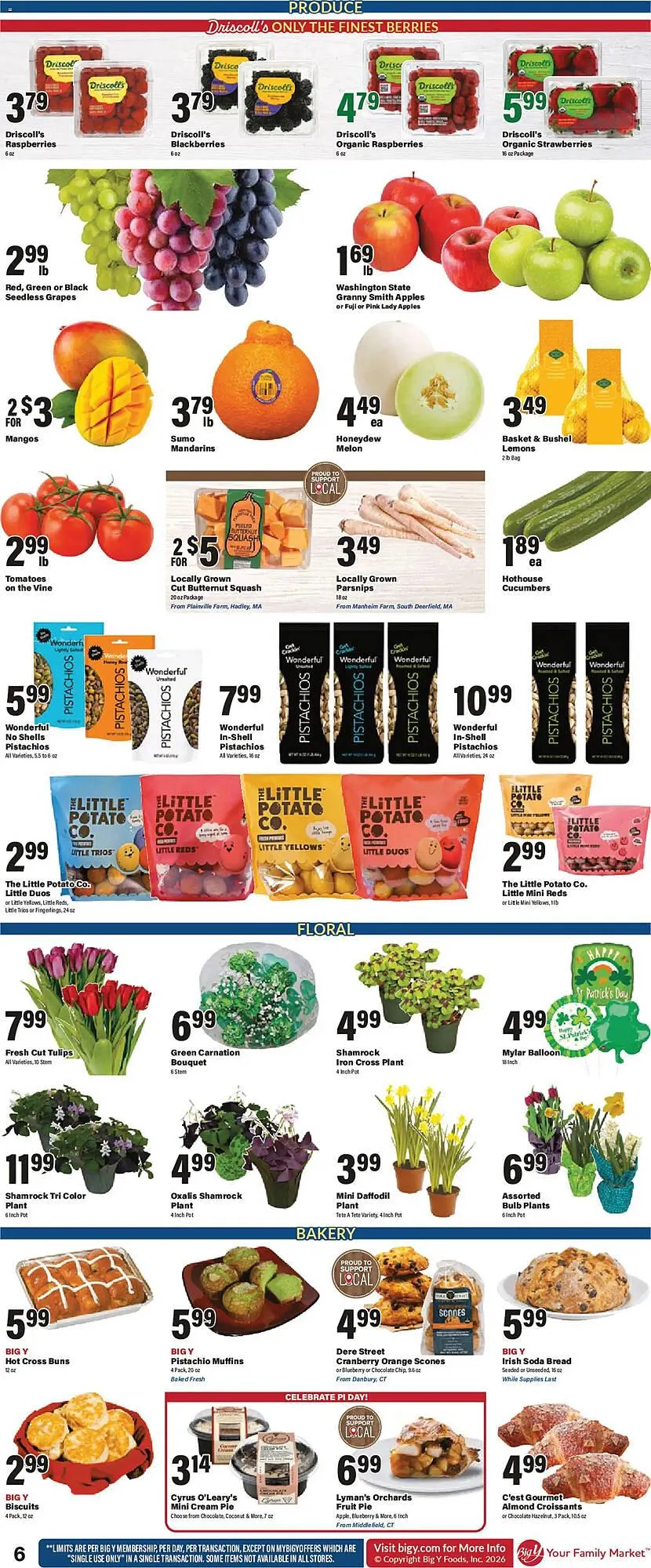 Weekly ad Big Y flyer from March 12 to March 19 2026 - Page 9