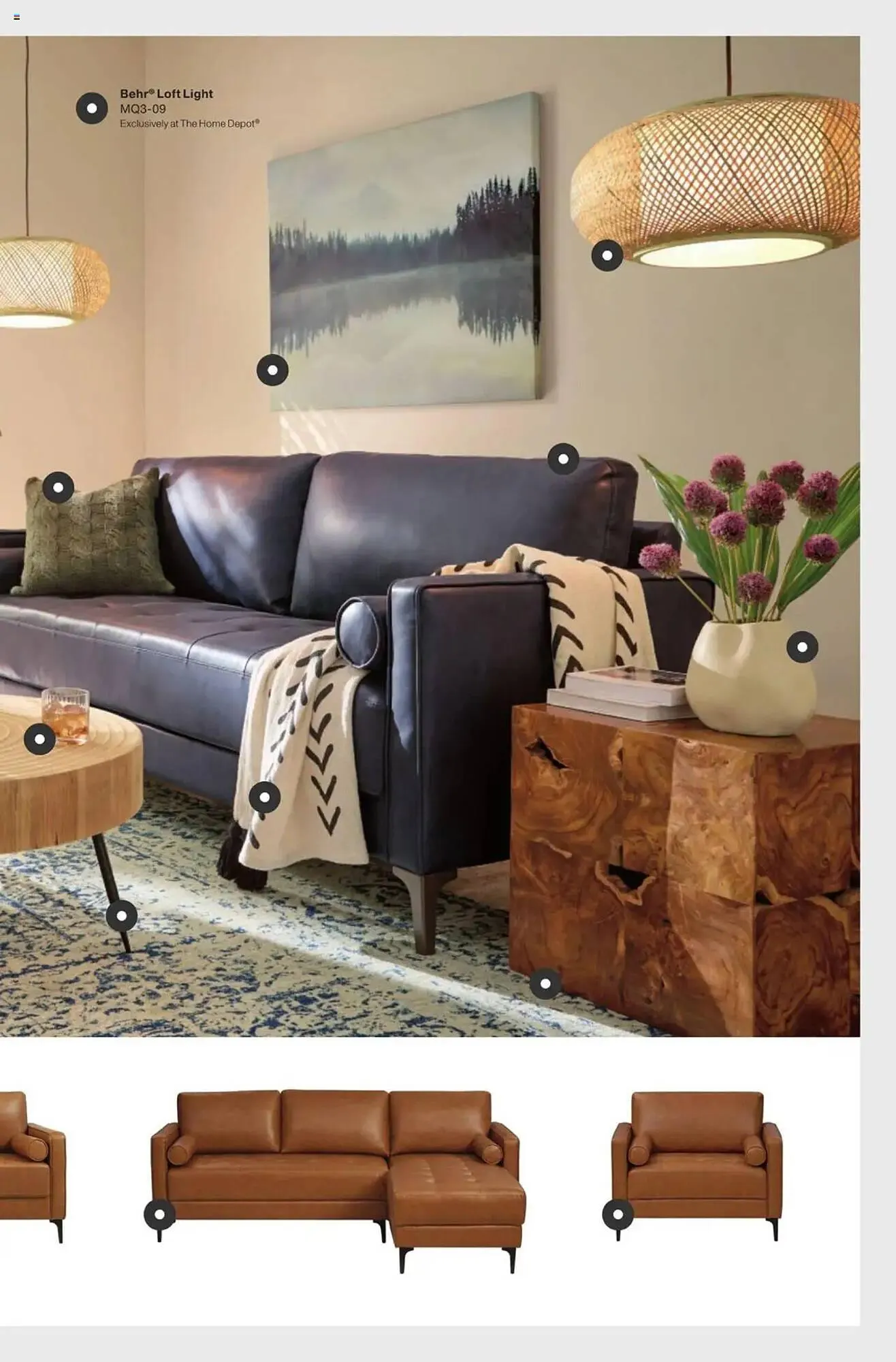 Weekly ad The Home Depot Weekly Ad from February 10 to March 23 2025 - Page 25