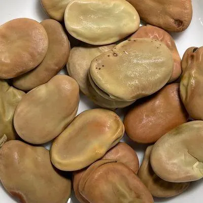 Organic Fava Beans