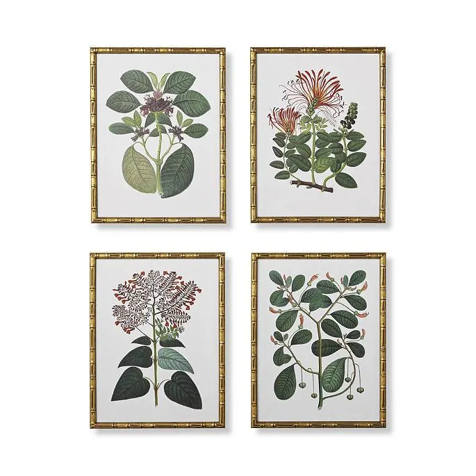Bamboo Botanicals Giclée Prints