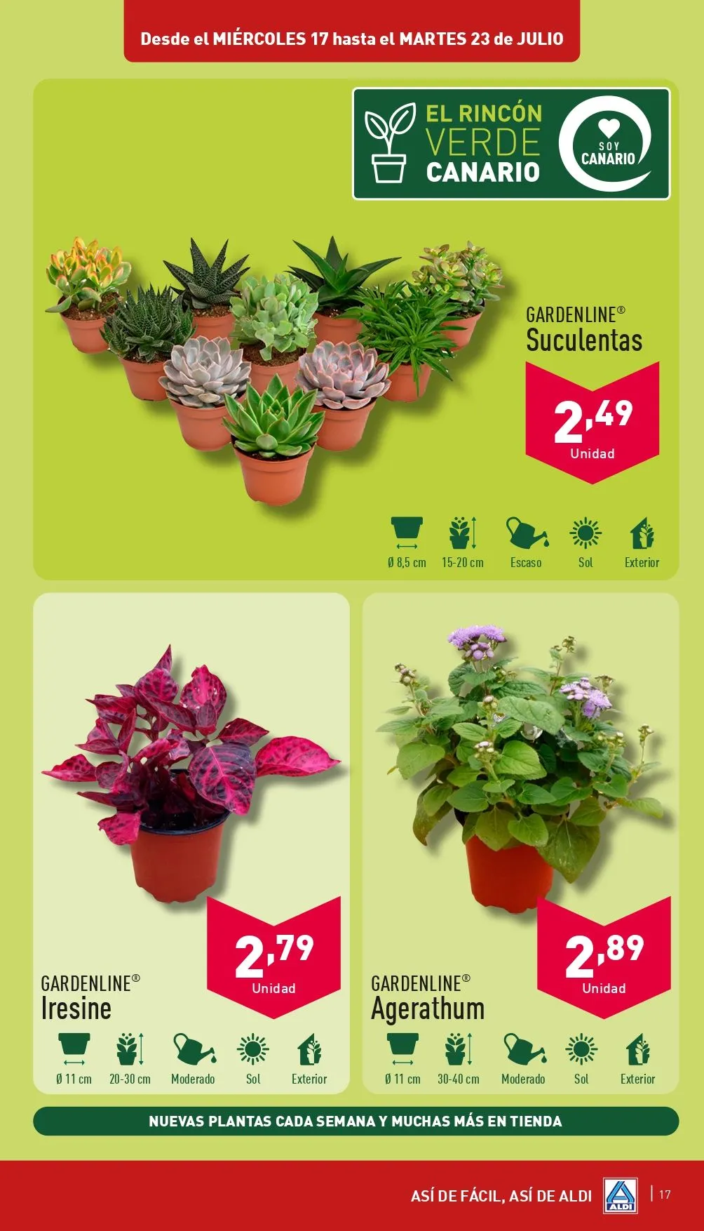 Catálogo de Aldi - Folleto 17 de julio 17 de julio al 23 de julio 2024 - Página 3