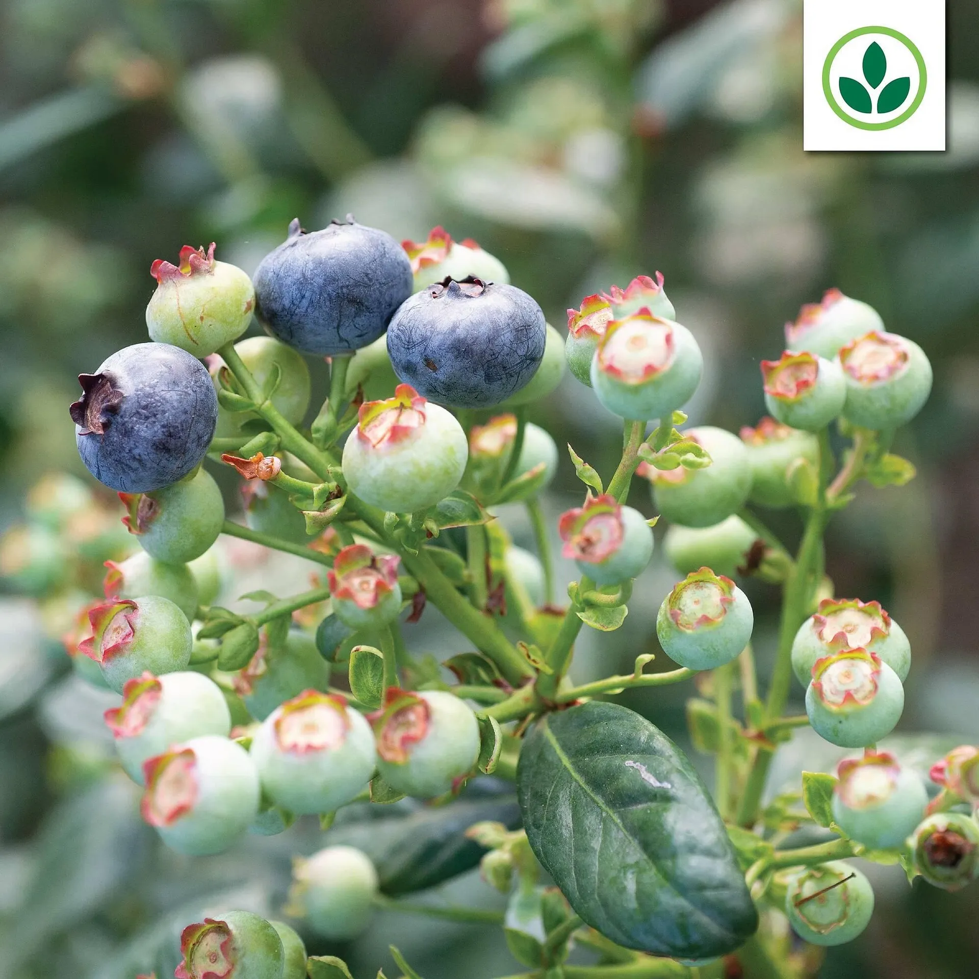 Agrimark catalogue - 1