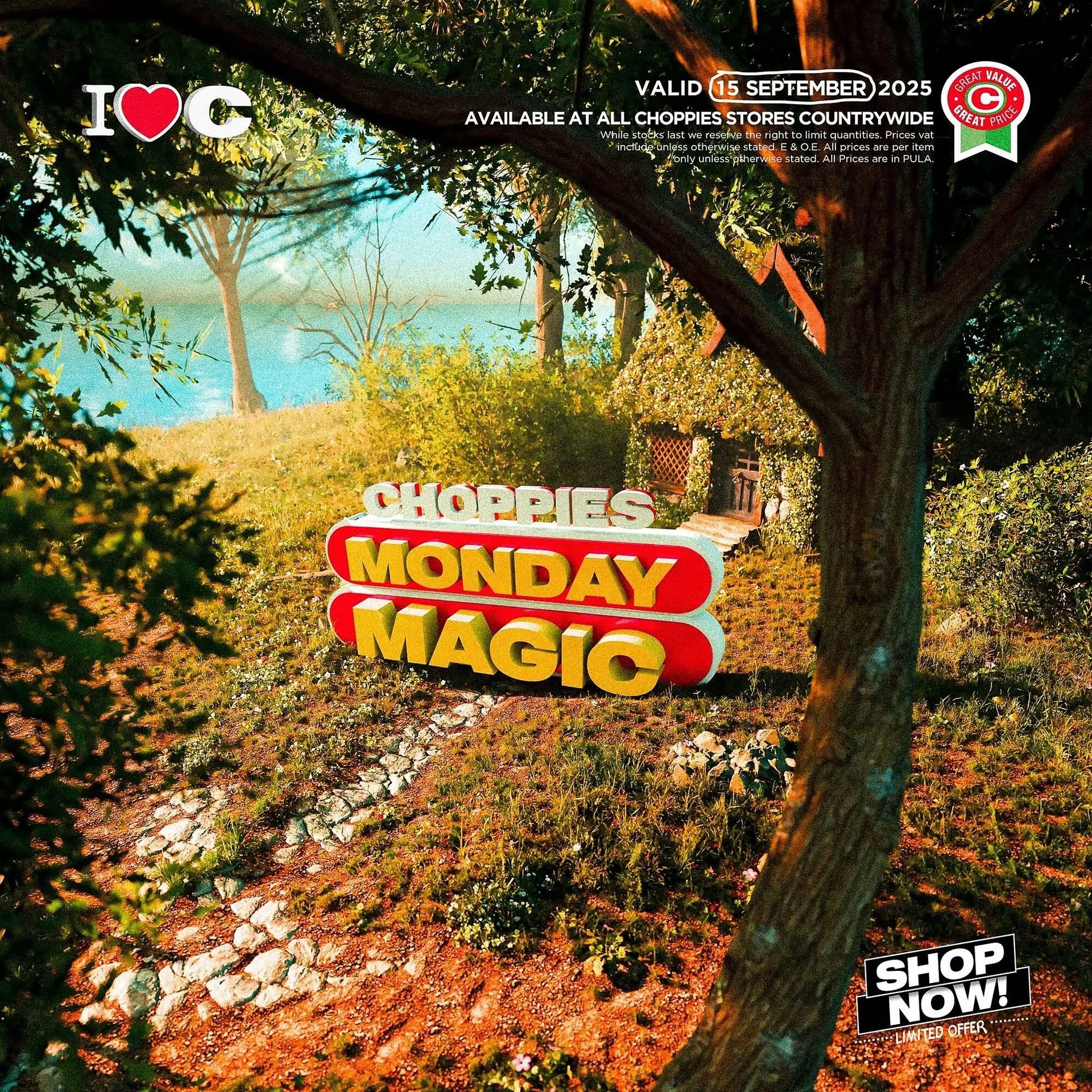 Choppies catalogue - 1