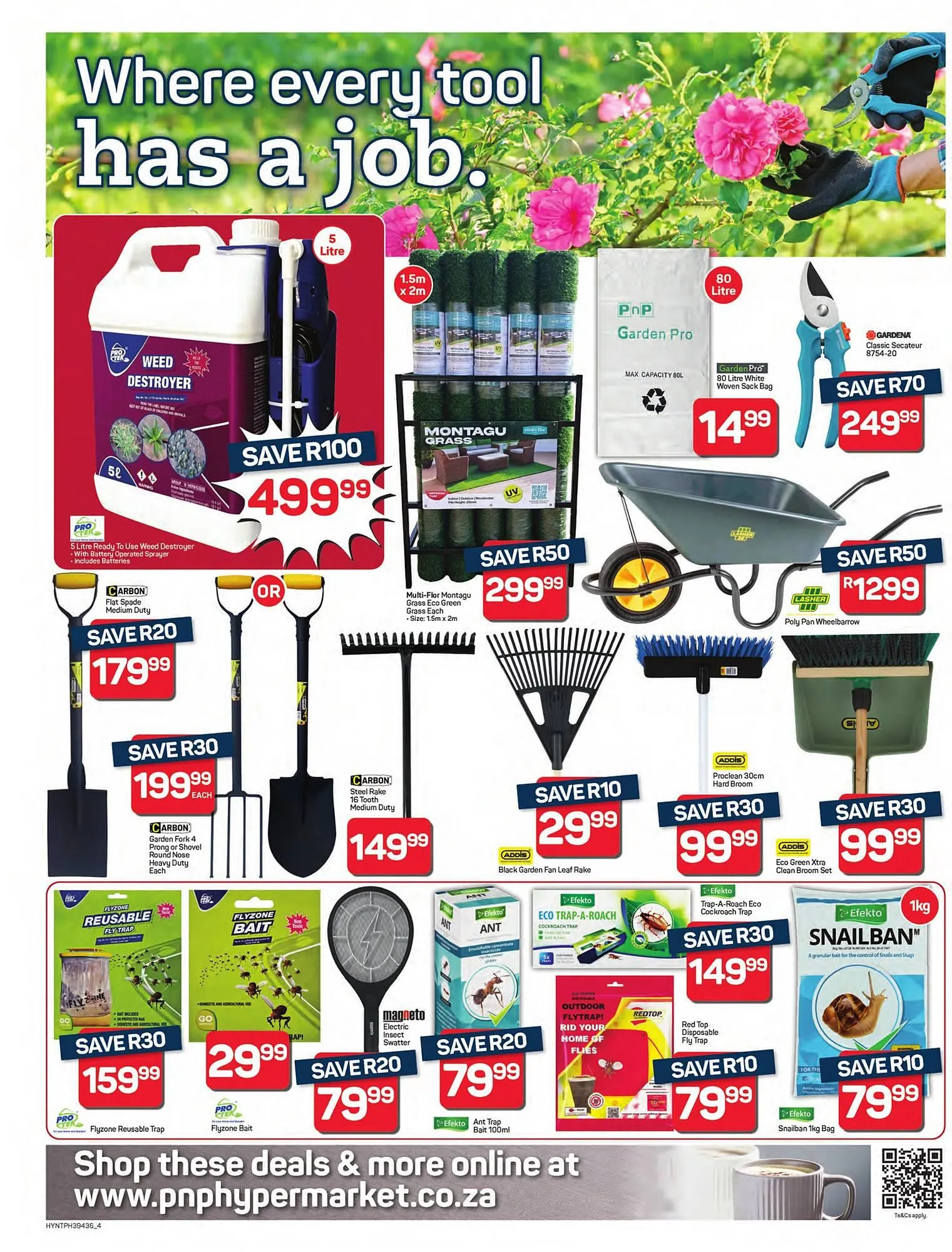 Pick n Pay catalogue from 22 January to 8 February 2026 - Catalogue Page 4