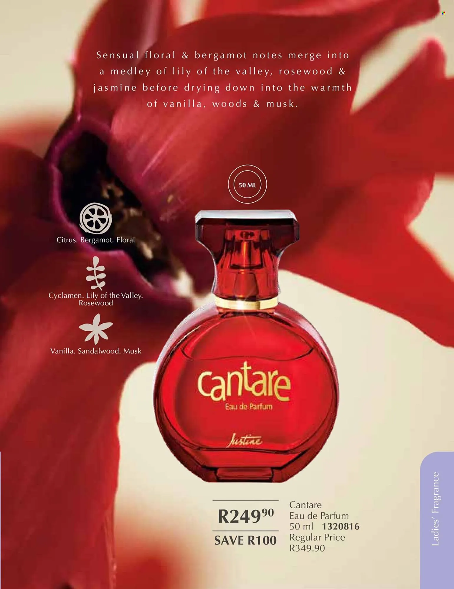 Justine brochure from 1 January to 31 January 2026 - Catalogue Page 53