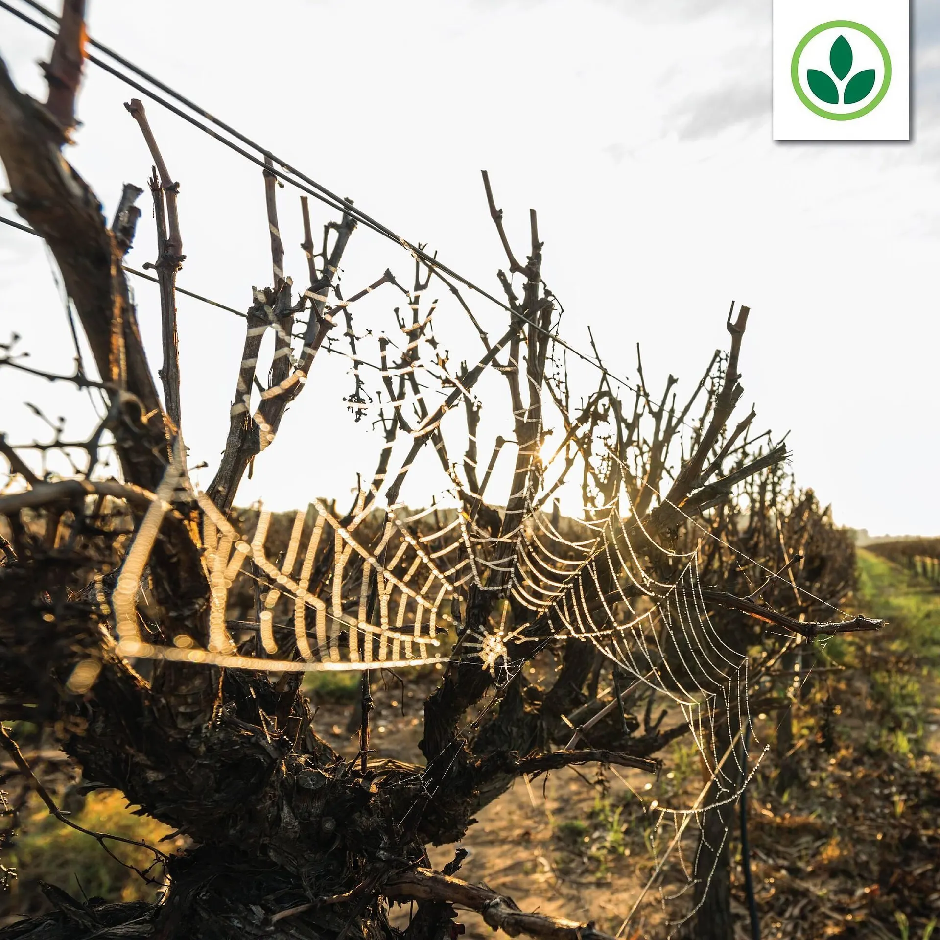 Agrimark catalogue from 13 August to 19 August 2025 - Catalogue Page 2