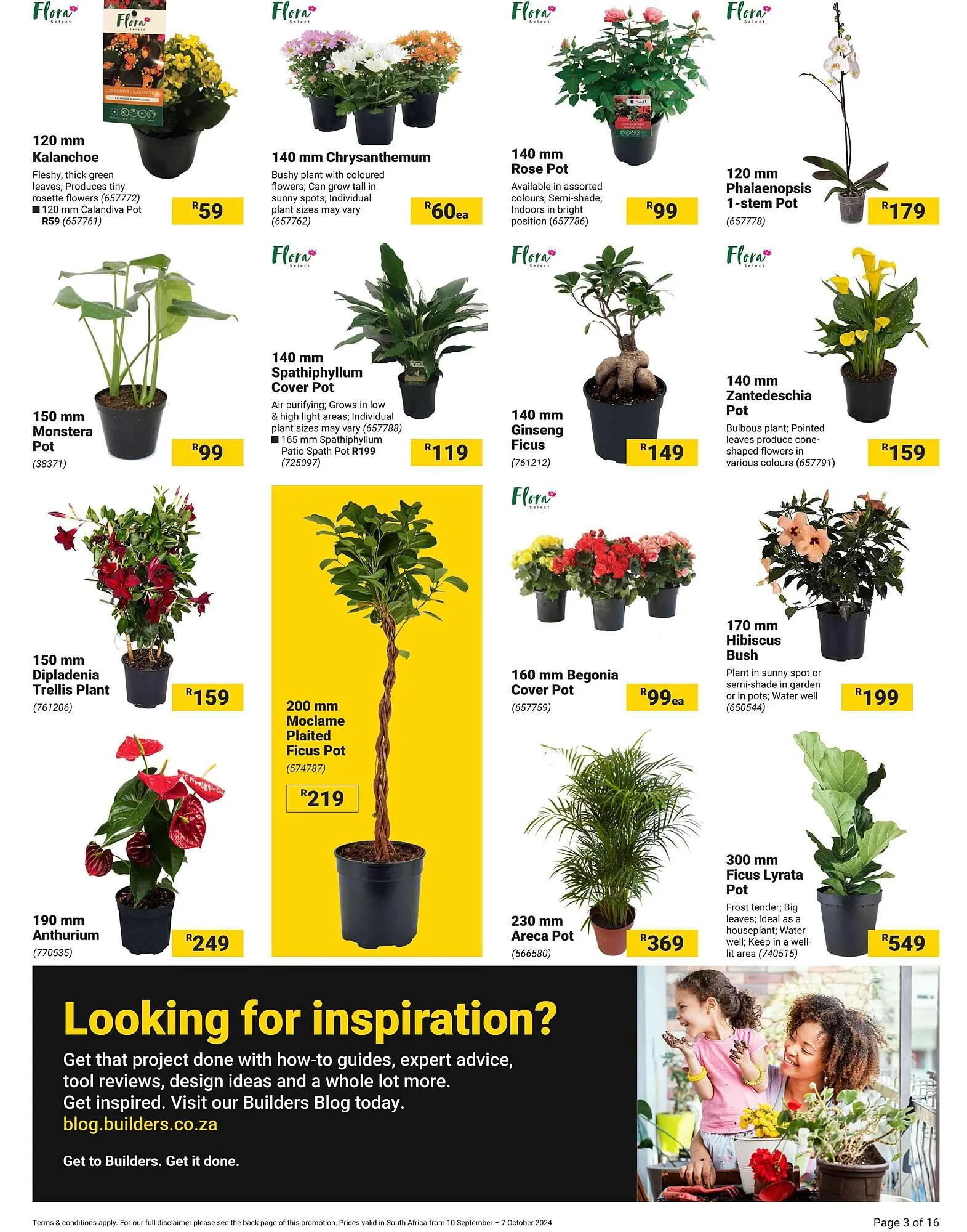 Builders Warehouse catalogue from 10 September to 7 October 2024 - Catalogue Page 3