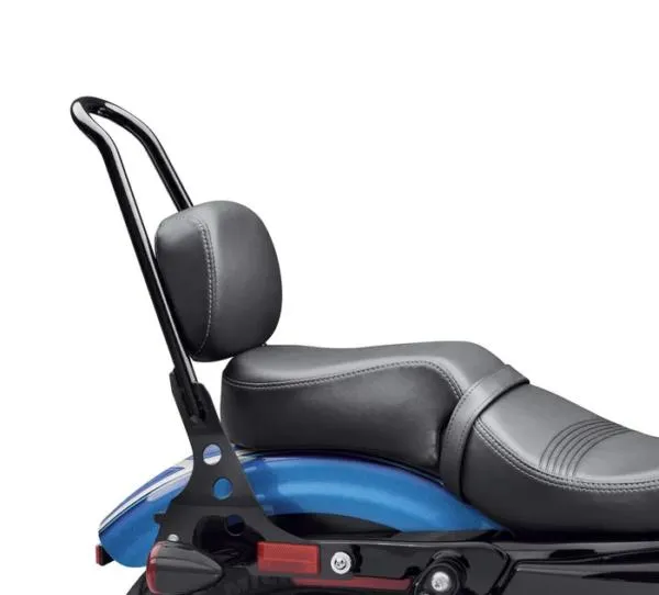 Passenger Pillion – ’16 Forty-Eight Style