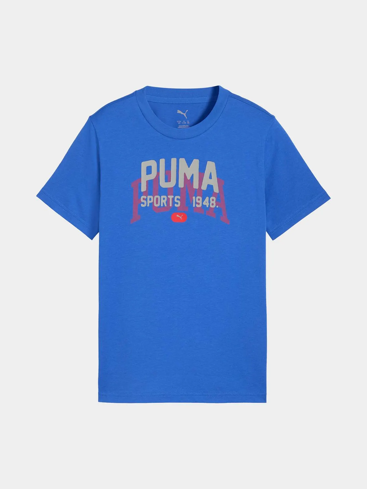 Puma Boys Youth Varsity Graphics Blue T-Shirt