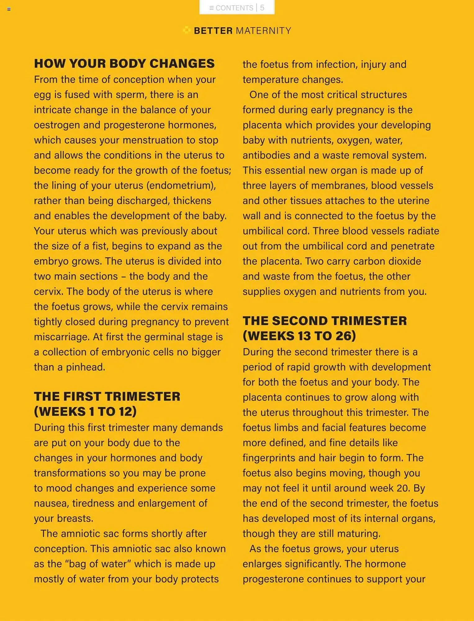 Baby City catalogue from 1 March to 31 March 2025 - Catalogue Page 5