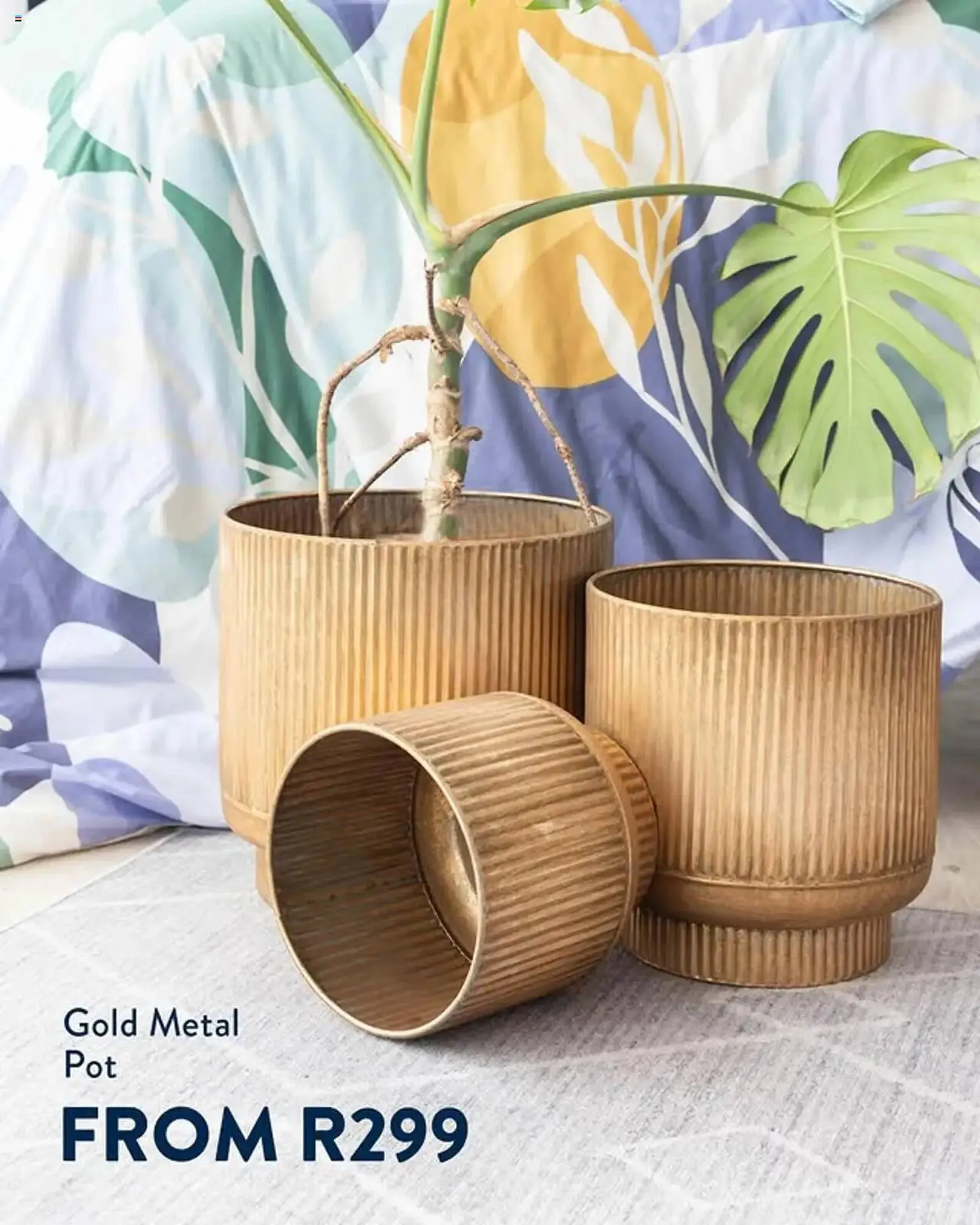 Volpes catalogue from 12 March to 19 March 2025 - Catalogue Page 3