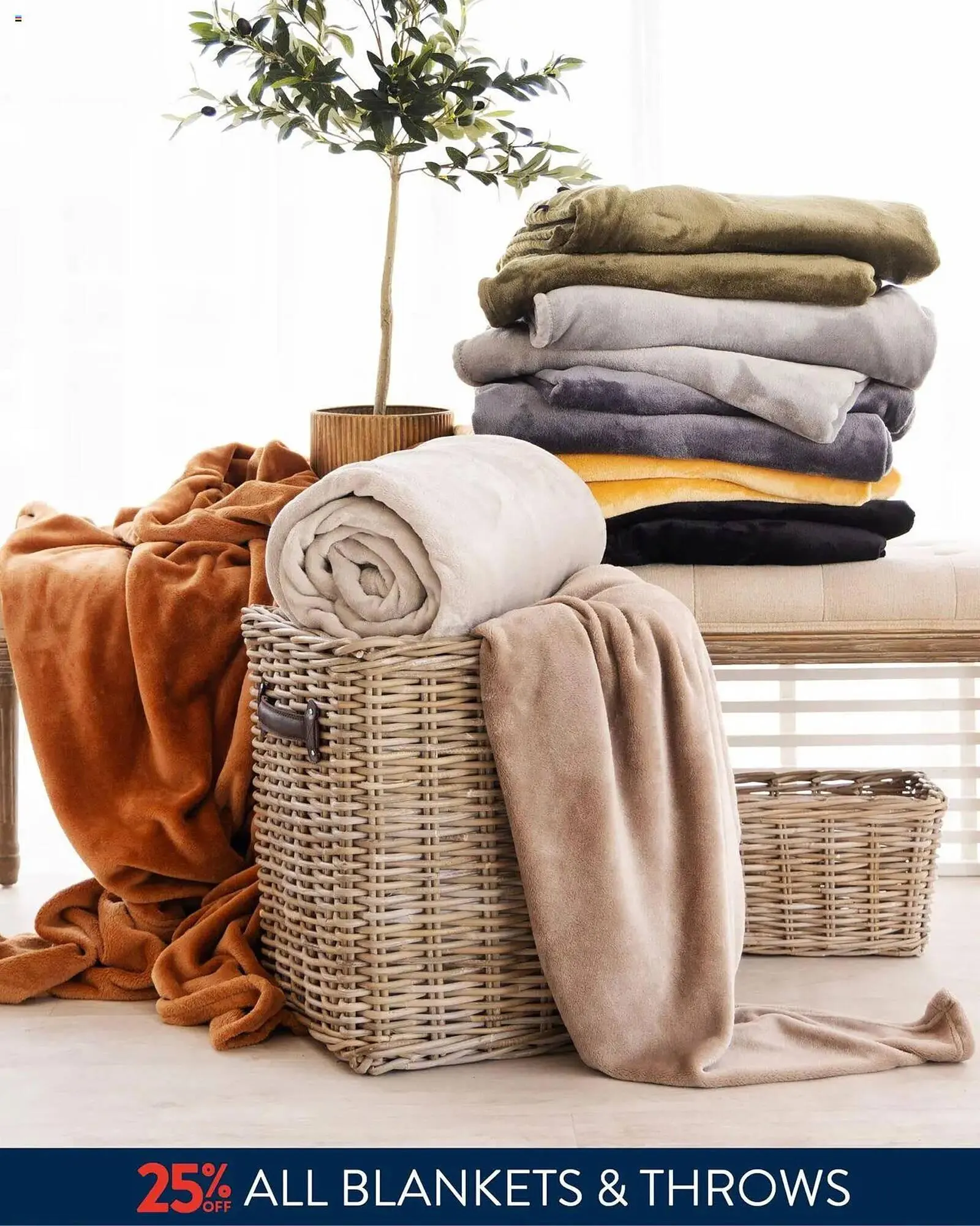 Volpes catalogue from 30 July to 6 August 2025 - Catalogue Page 3