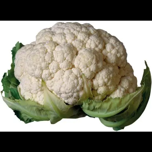 Cauliflower Head