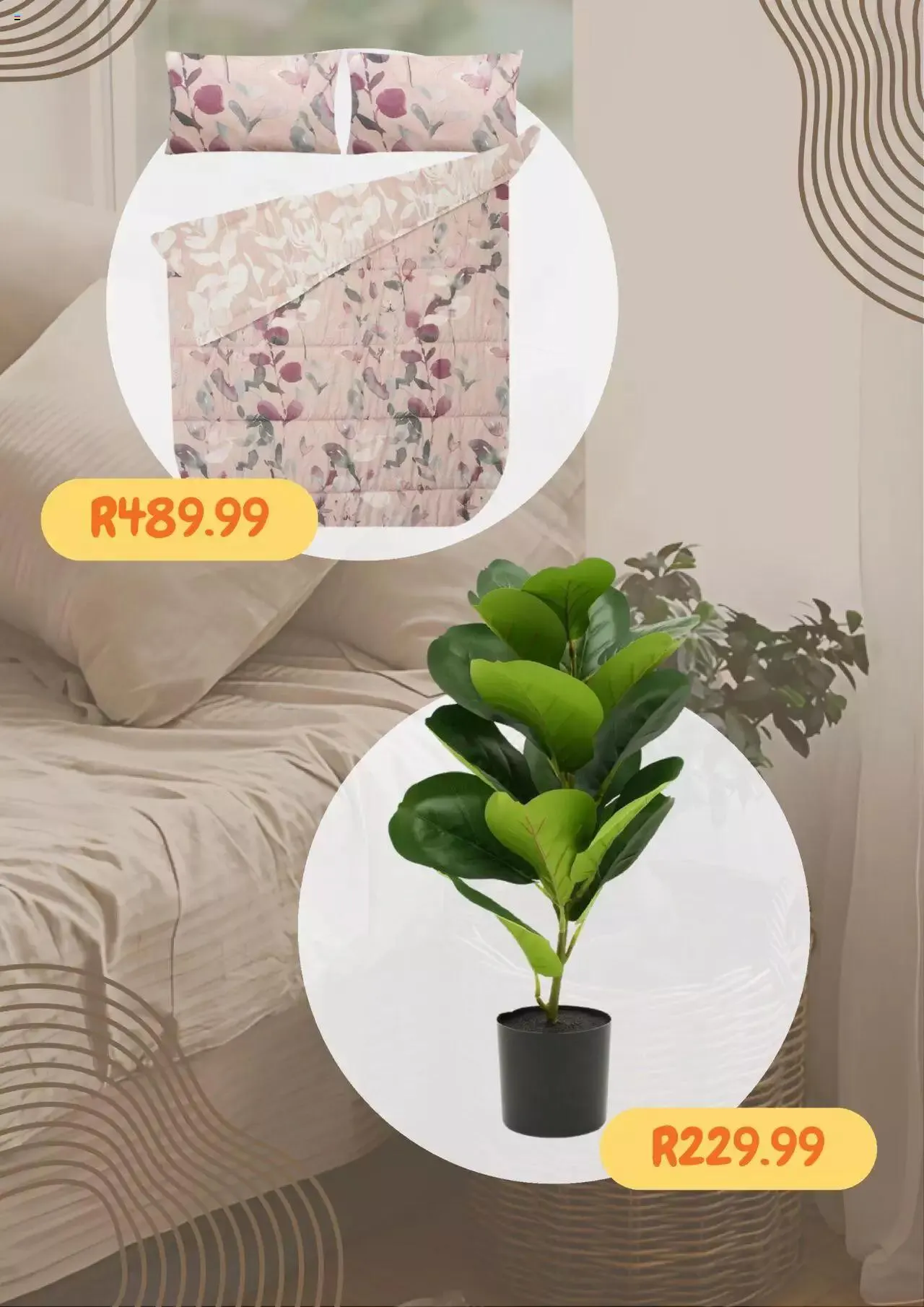 Sheet Street Specials from 11 June to 31 December 2024 - Catalogue Page 5