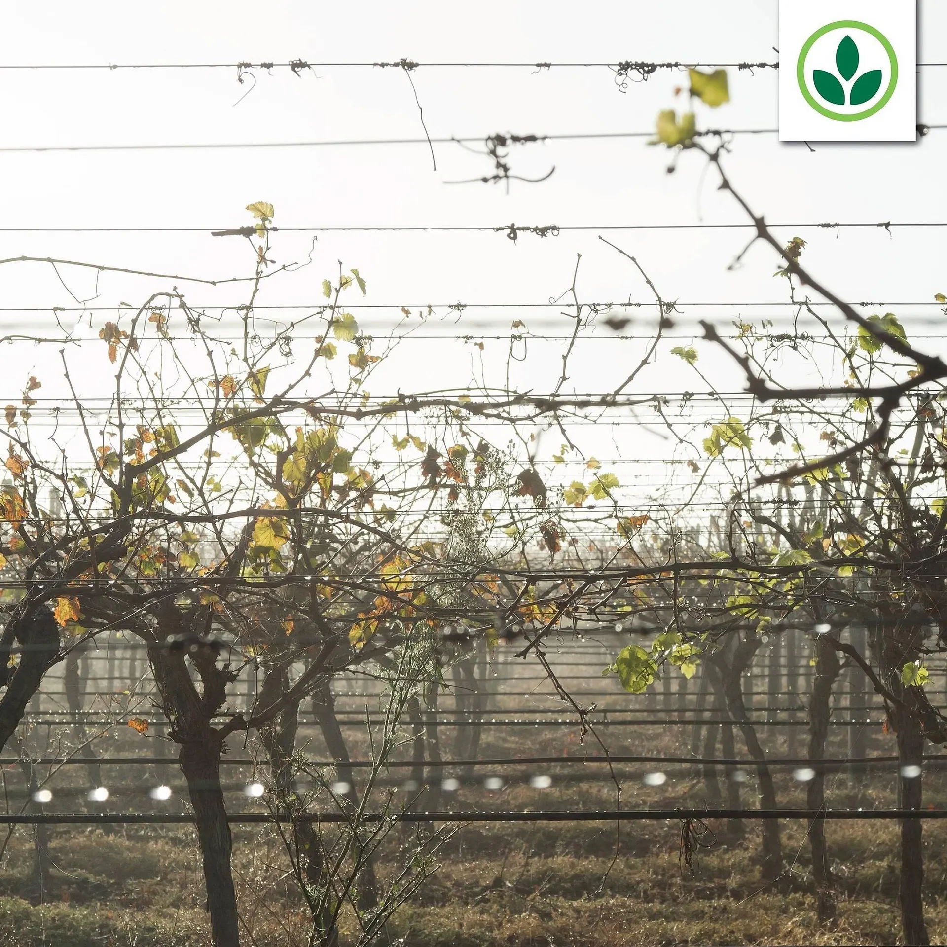 Agrimark catalogue from 13 August to 19 August 2025 - Catalogue Page 4