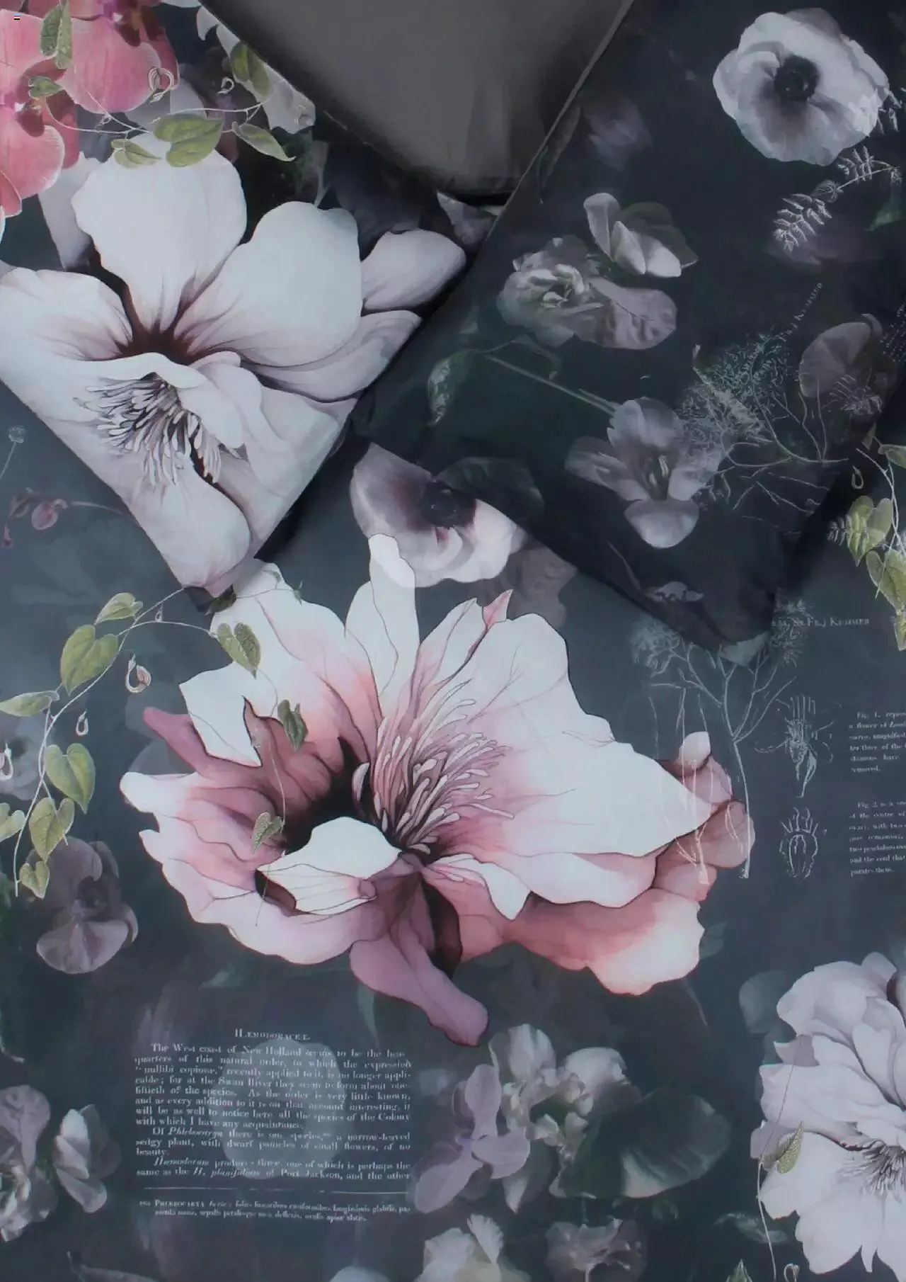 MRP Home Specials from 7 June to 31 December 2024 - Catalogue Page 5