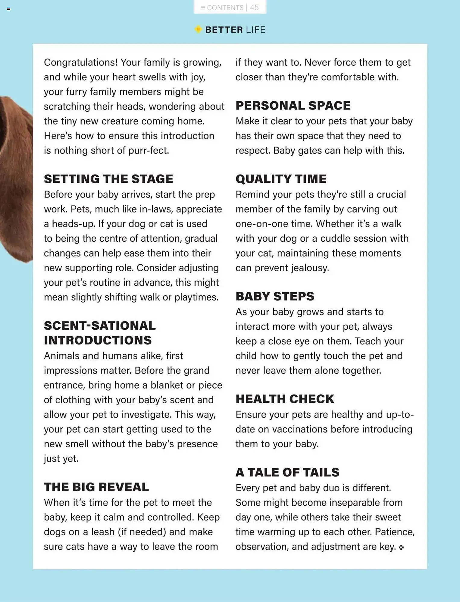 Baby City catalogue from 1 March to 31 March 2025 - Catalogue Page 45