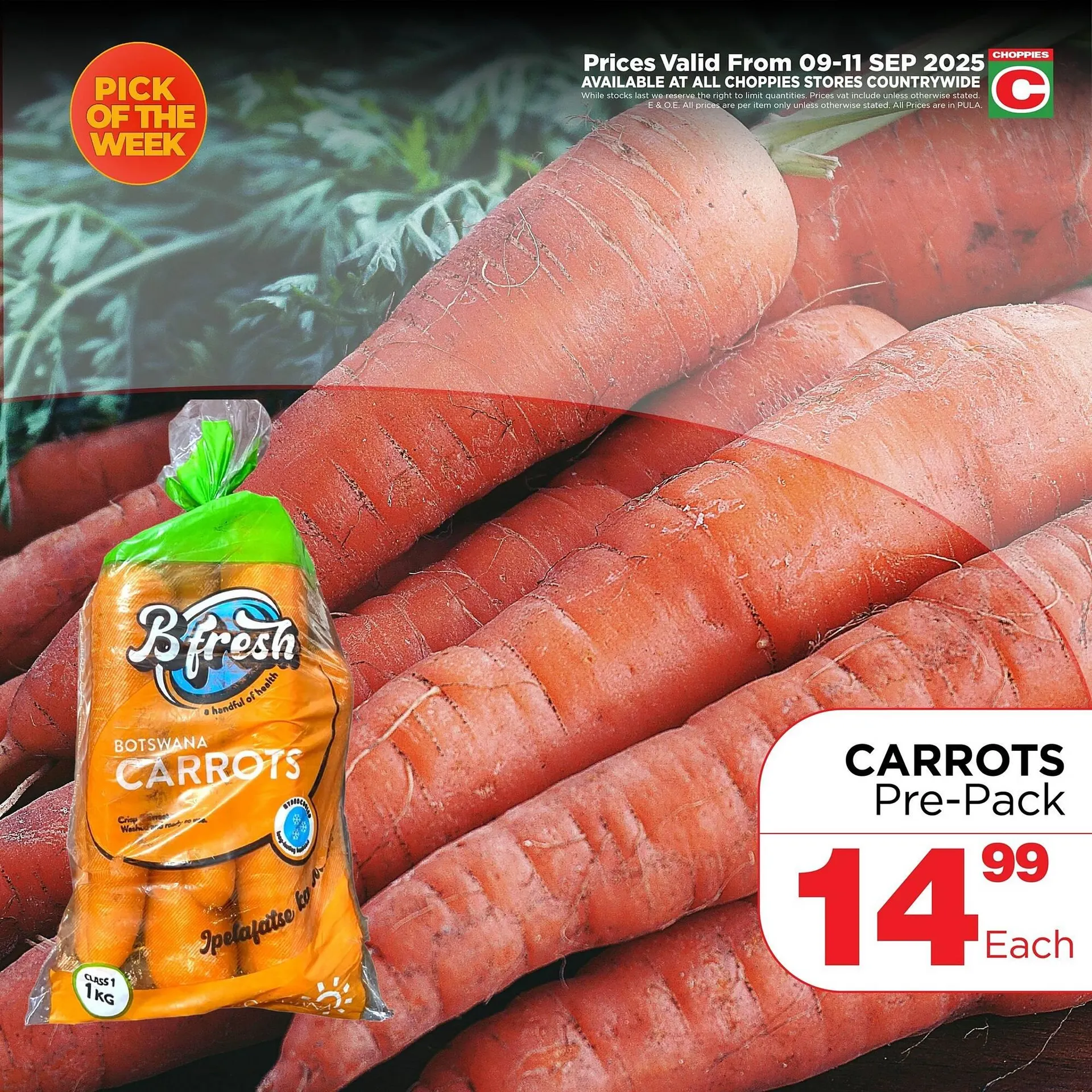 Choppies catalogue from 9 September to 11 September 2025 - Catalogue Page 3