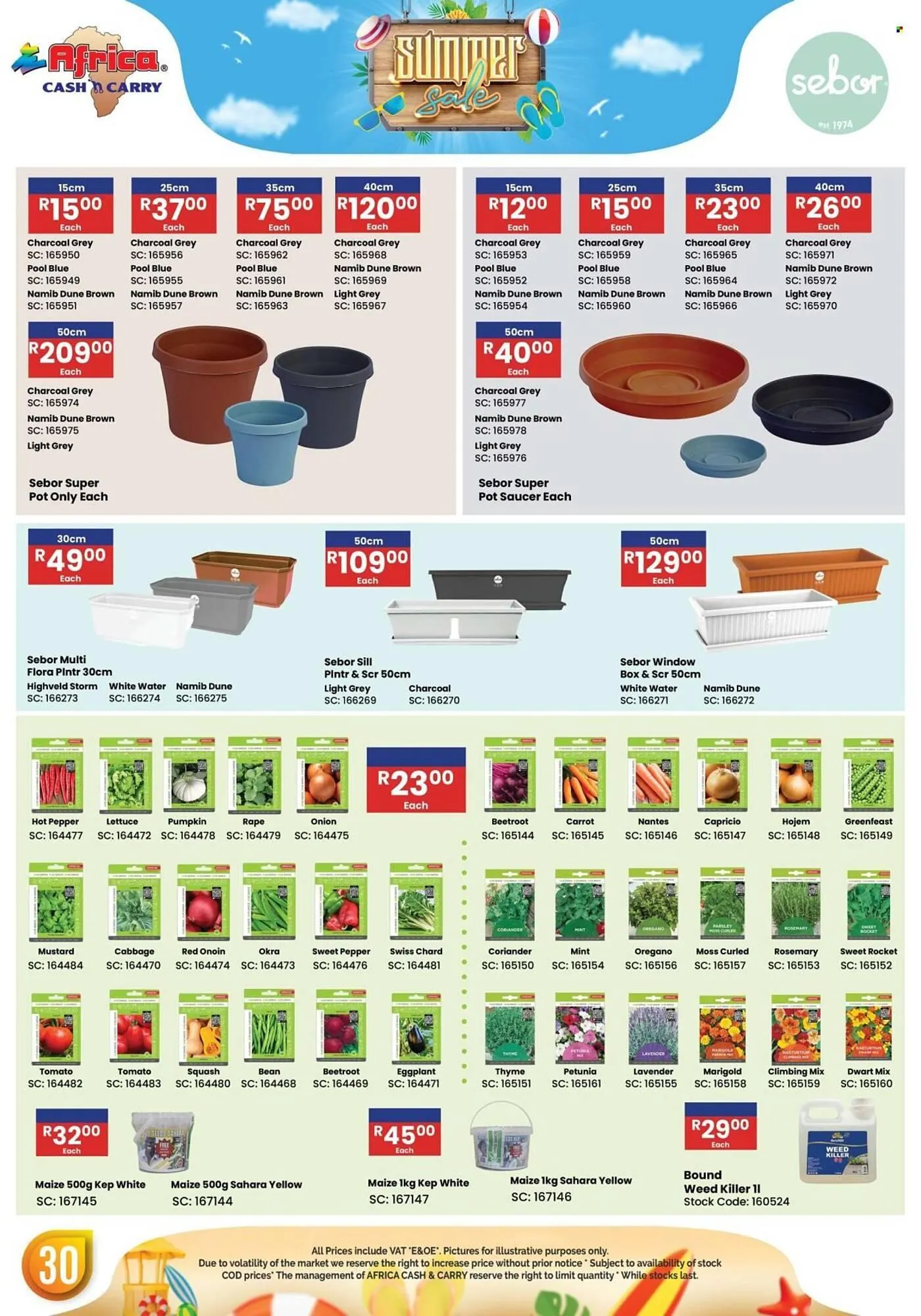 Africa Cash and Carry catalogue from 17 November to 31 January 2026 - Catalogue Page 30