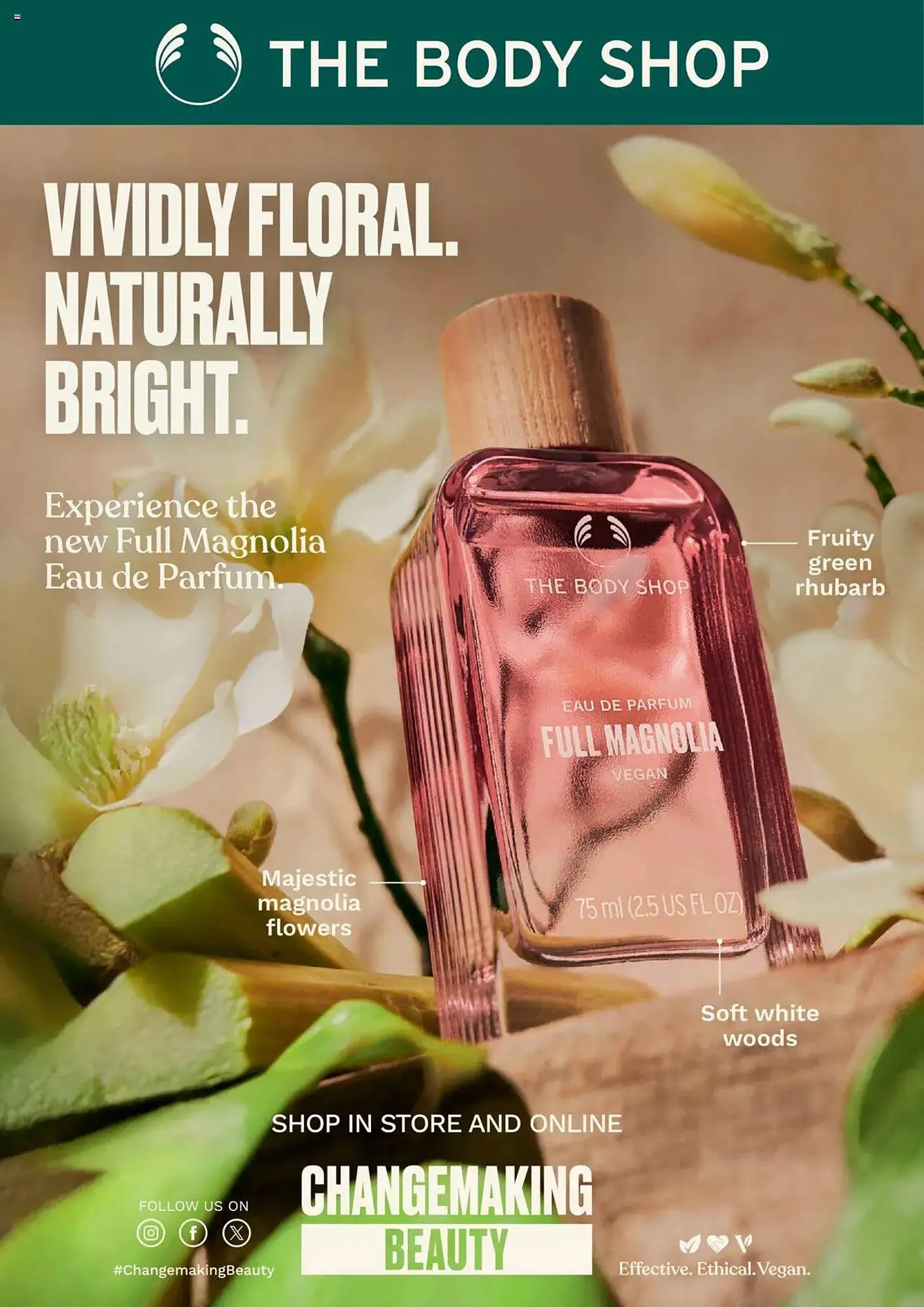 Clicks catalogue from 1 February to 31 March 2025 - Catalogue Page 97