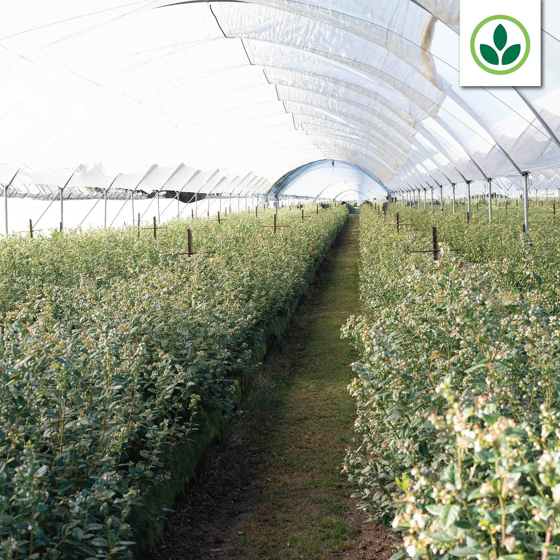 Agrimark catalogue from 27 January to 2 February 2026 - Catalogue Page 3