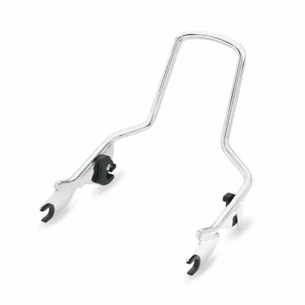 Detachables Sissy Bar Upright
