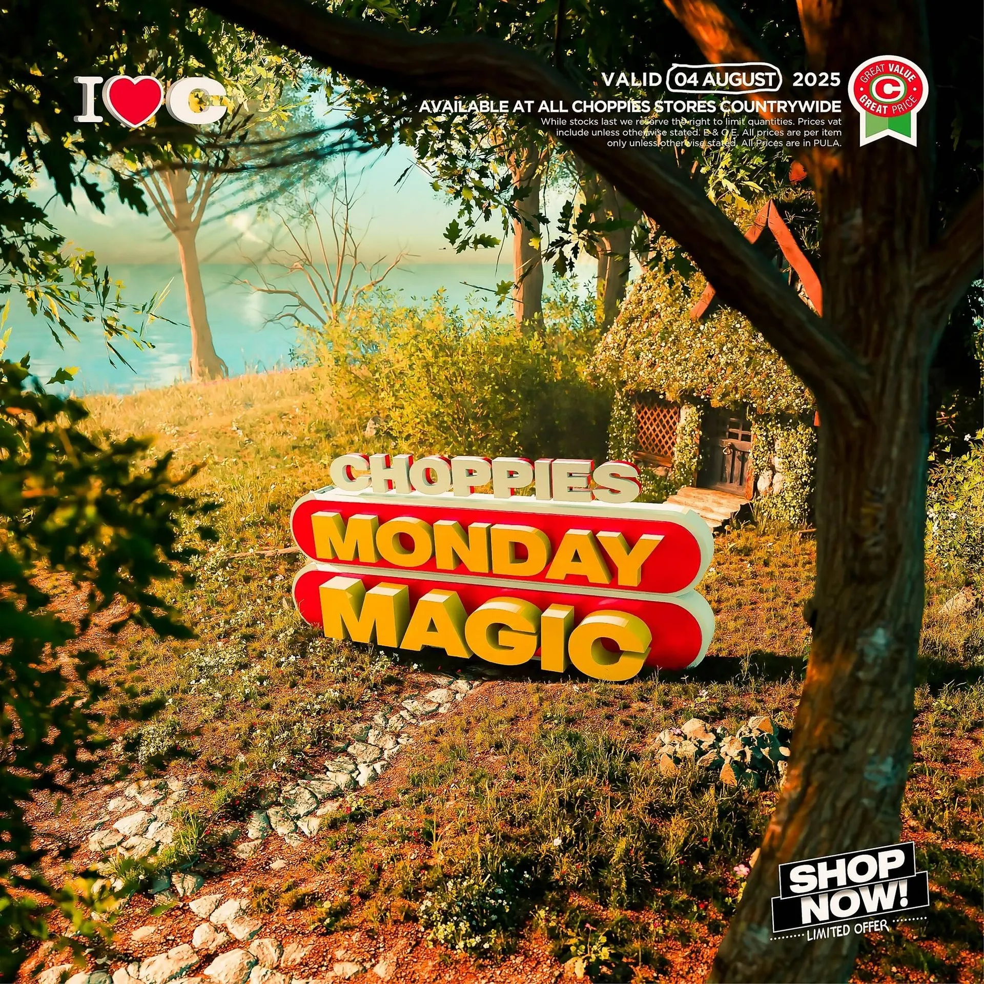 Choppies catalogue - 1