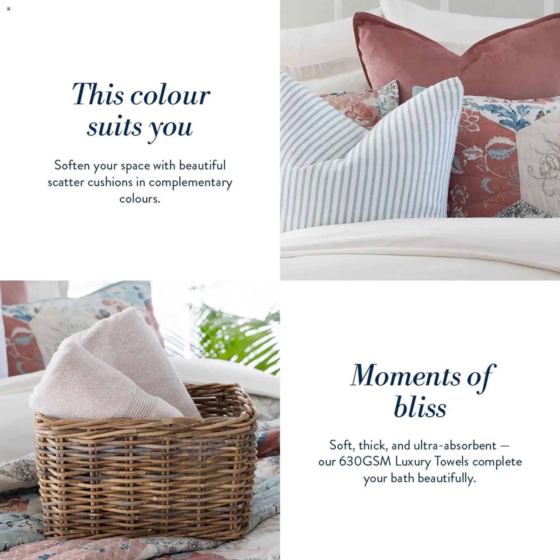 Volpes catalogue from 16 December to 23 December 2025 - Catalogue Page 3