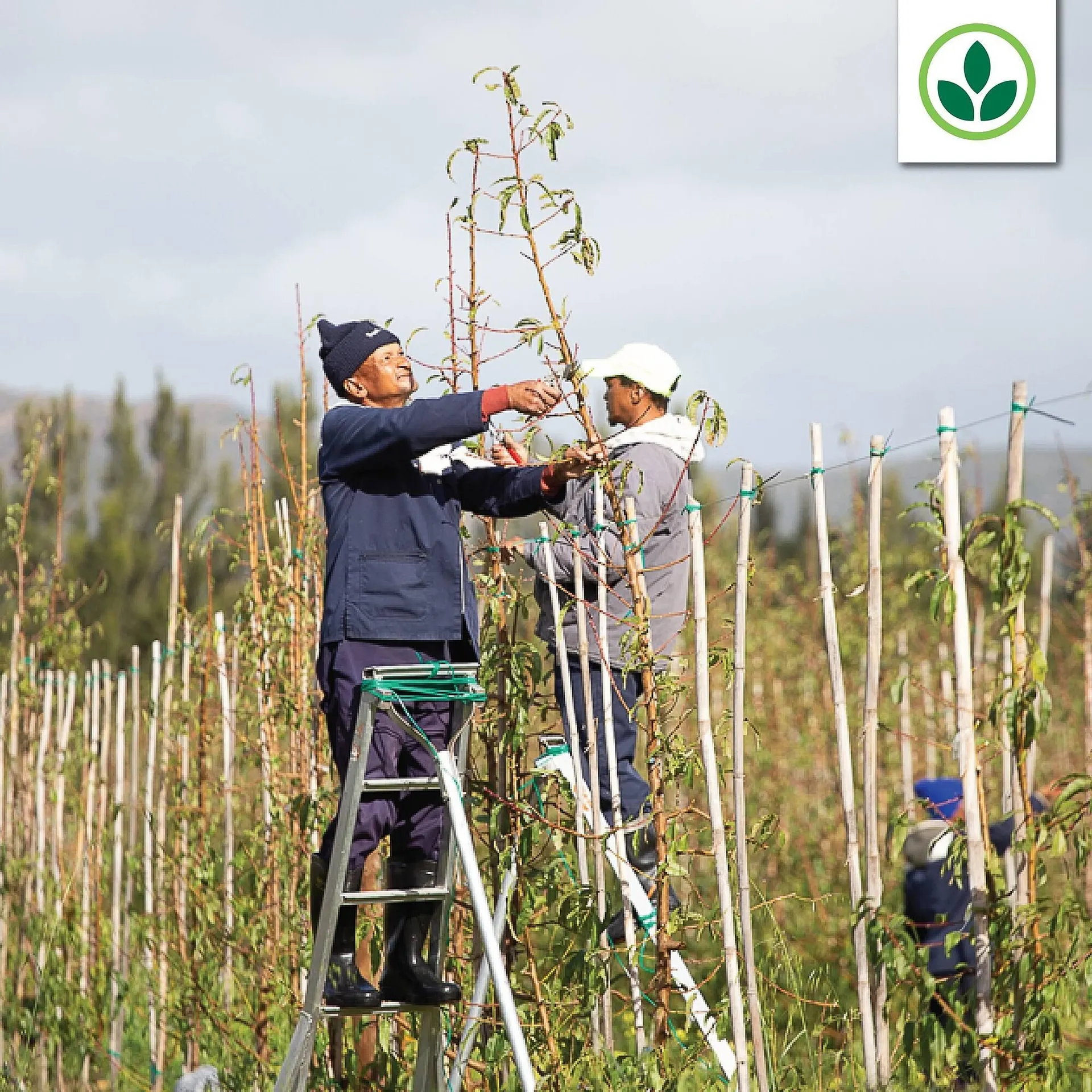 Agrimark catalogue from 13 August to 19 August 2025 - Catalogue Page 3