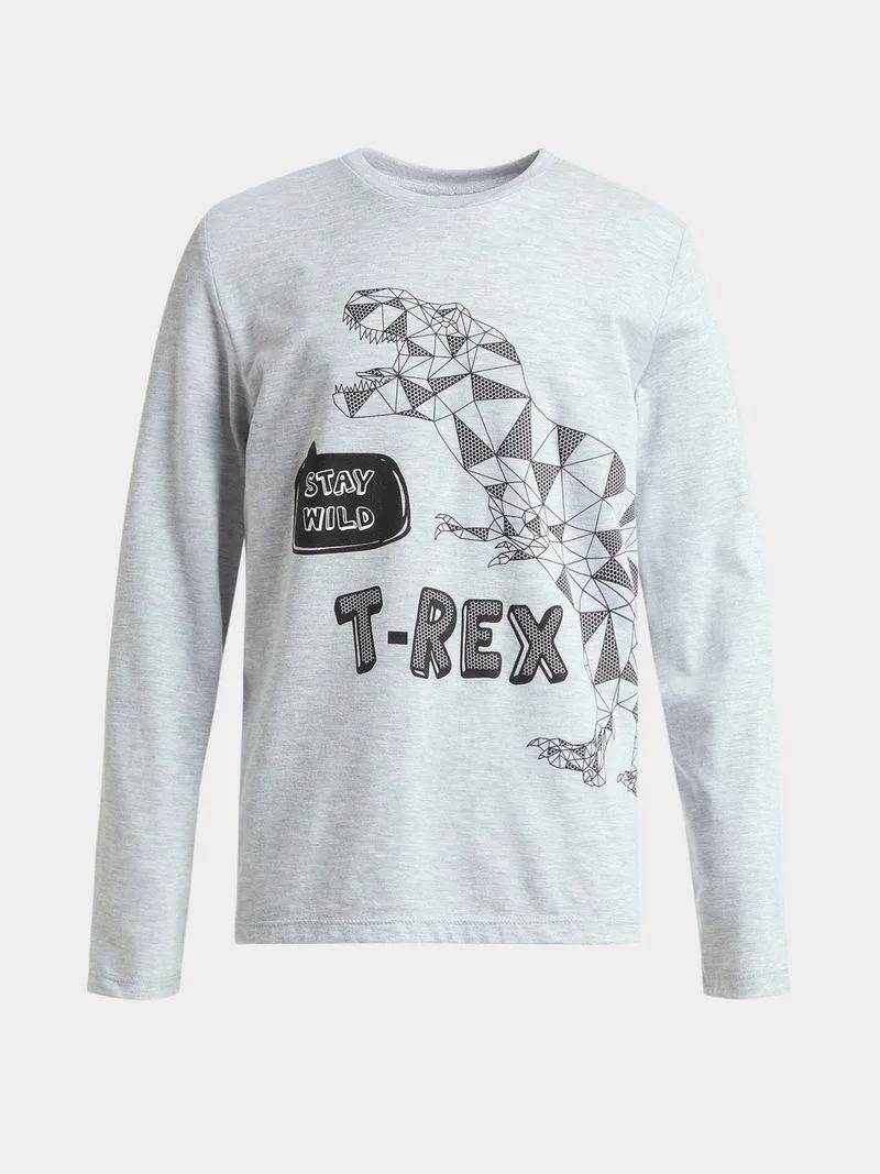 Younger Boy's Grey Graphic Print T-Shirt