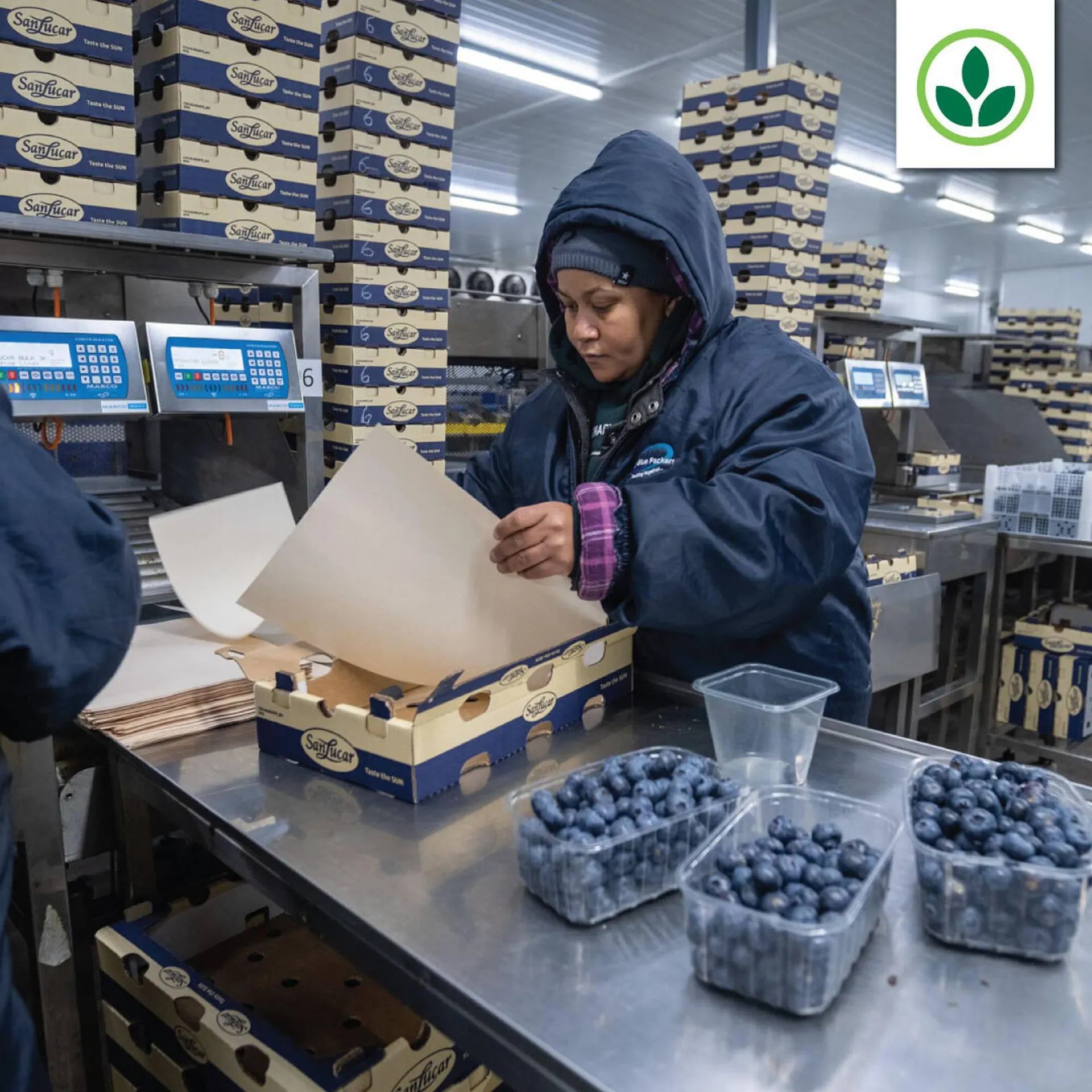 Agrimark catalogue from 27 January to 2 February 2026 - Catalogue Page 5