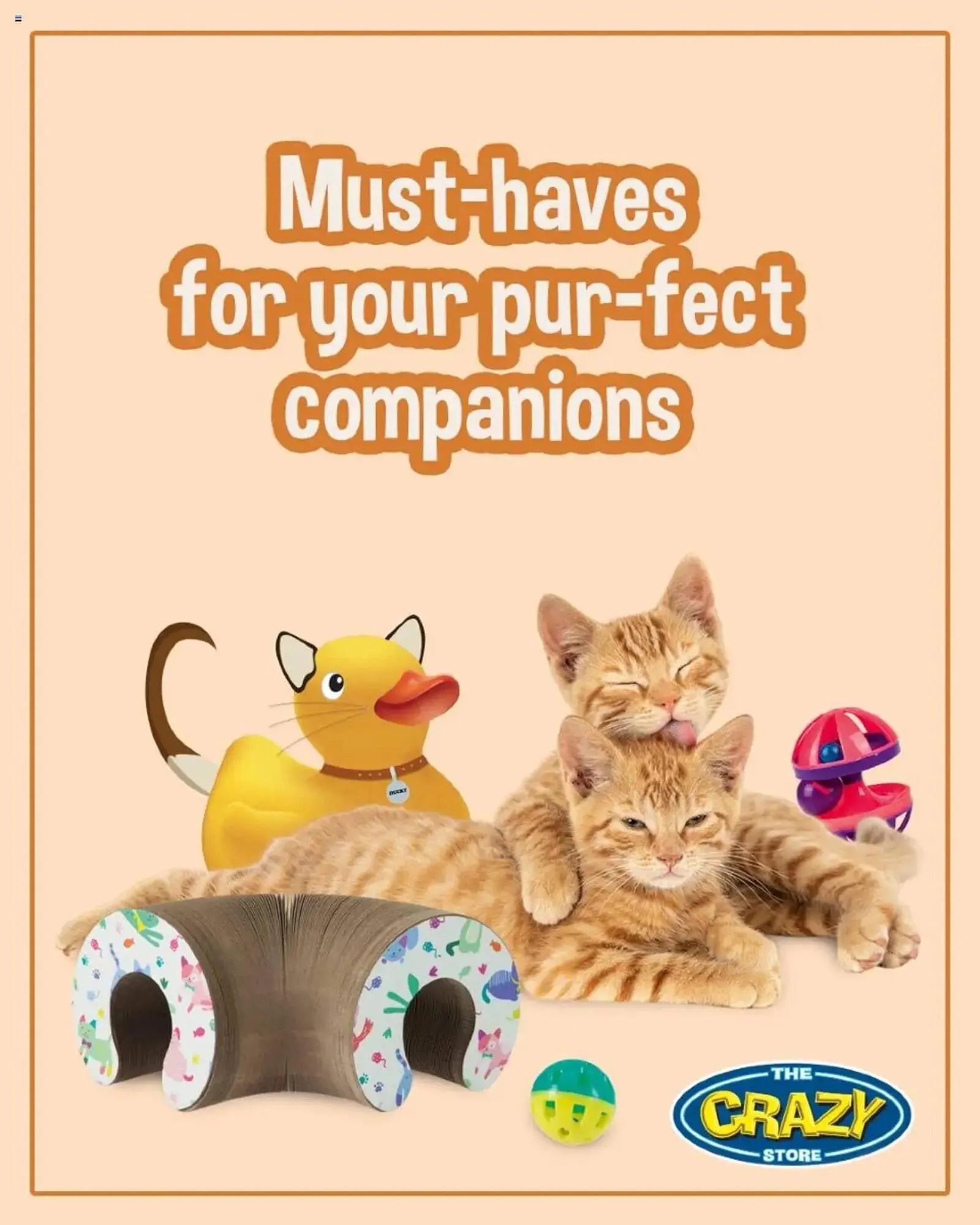 The Crazy Store catalogue - 1