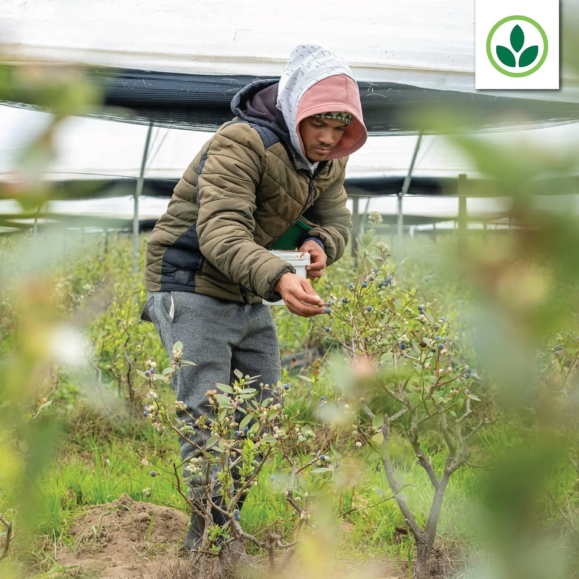 Agrimark catalogue from 27 January to 2 February 2026 - Catalogue Page 2