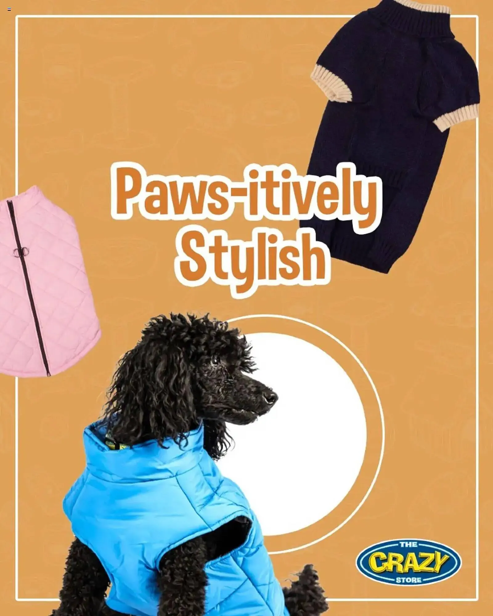 The Crazy Store catalogue from 19 May to 27 May 2025 - Catalogue Page 1