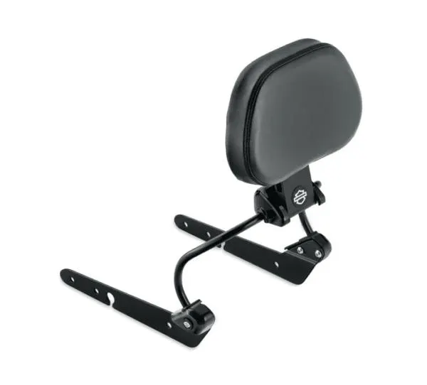 Quick Release Rider Backrest