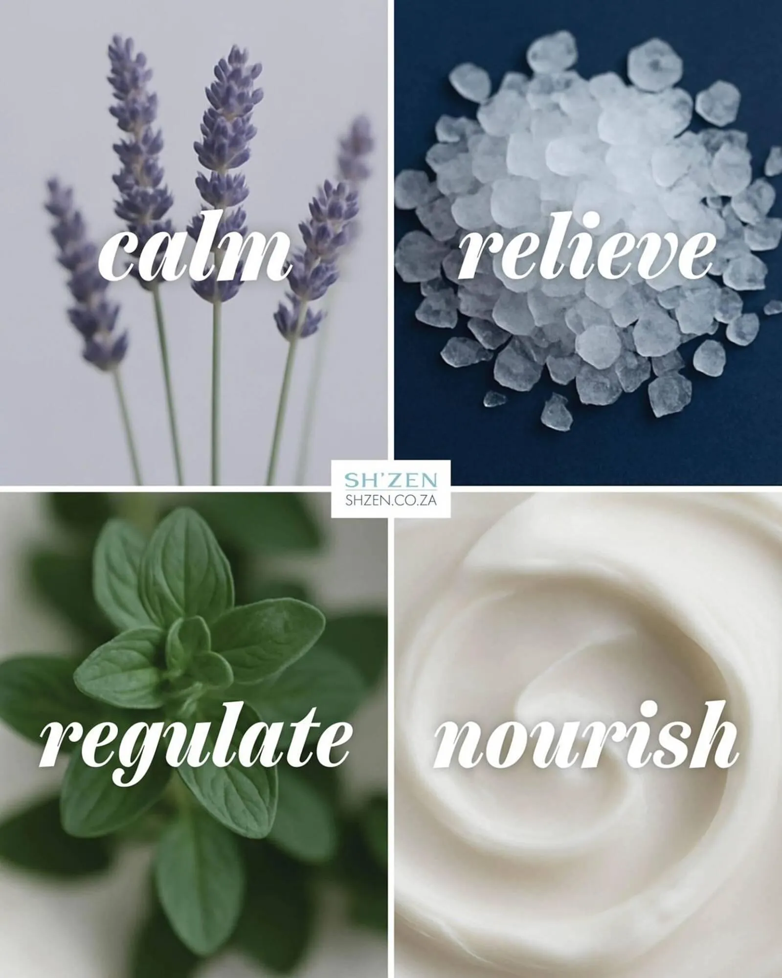 Sh'Zen catalogue from 15 January to 31 January 2026 - Catalogue Page 7