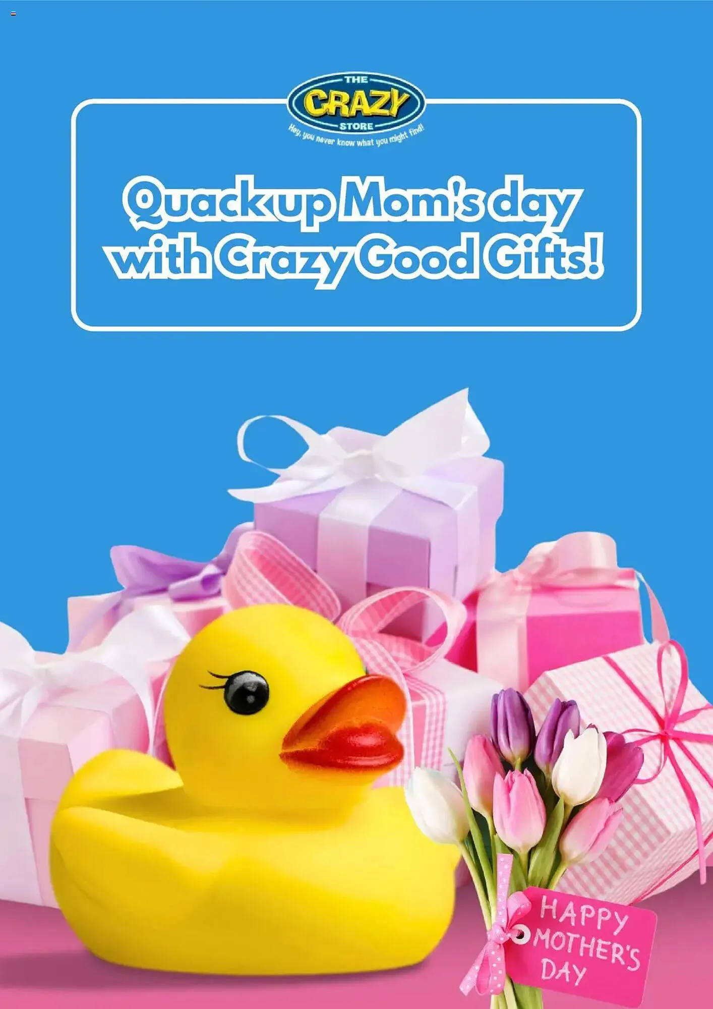 The Crazy Store catalogue from 25 April to 11 May 2025 - Catalogue Page 1