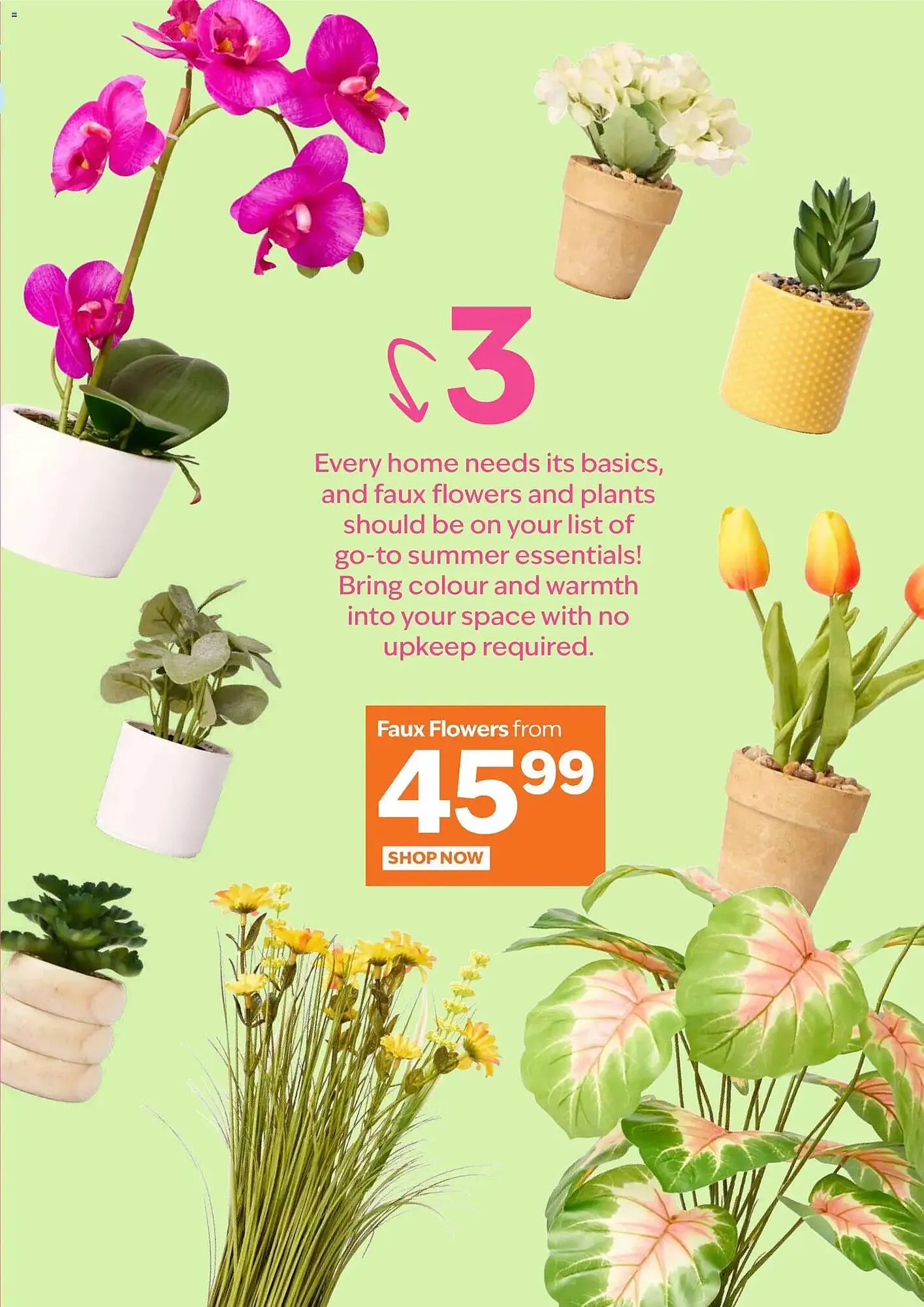 Sheet Street catalogue from 24 October to 30 November 2025 - Catalogue Page 7