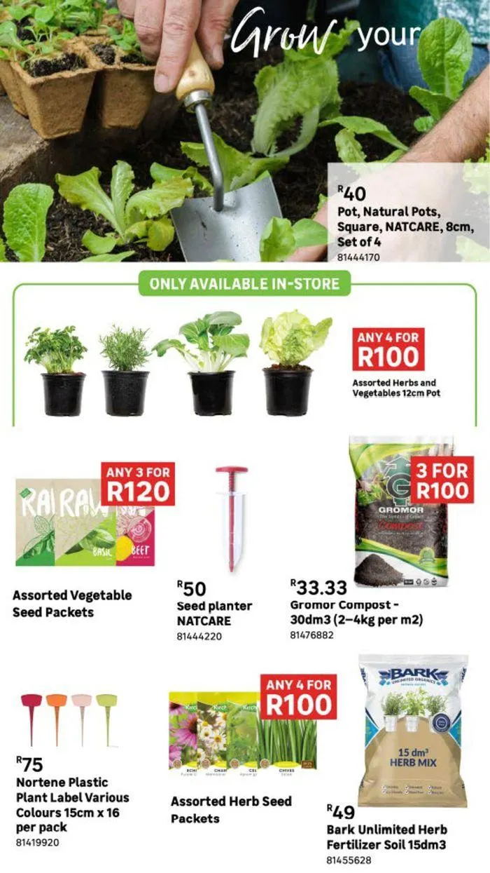 Live Love Garden. from 9 August to 3 September 2024 - Catalogue Page 15