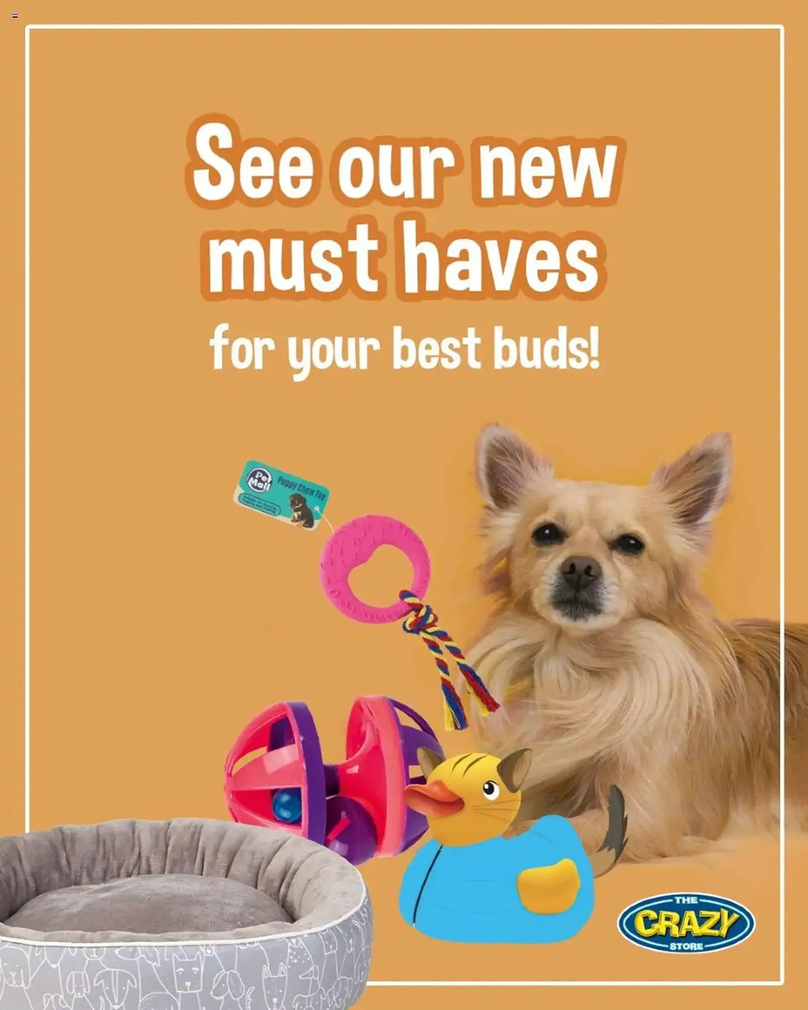 The Crazy Store catalogue - 1