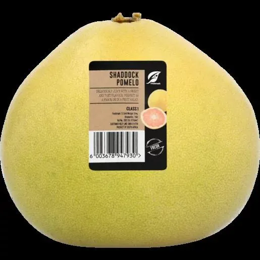 Shaddock Pomelo Single