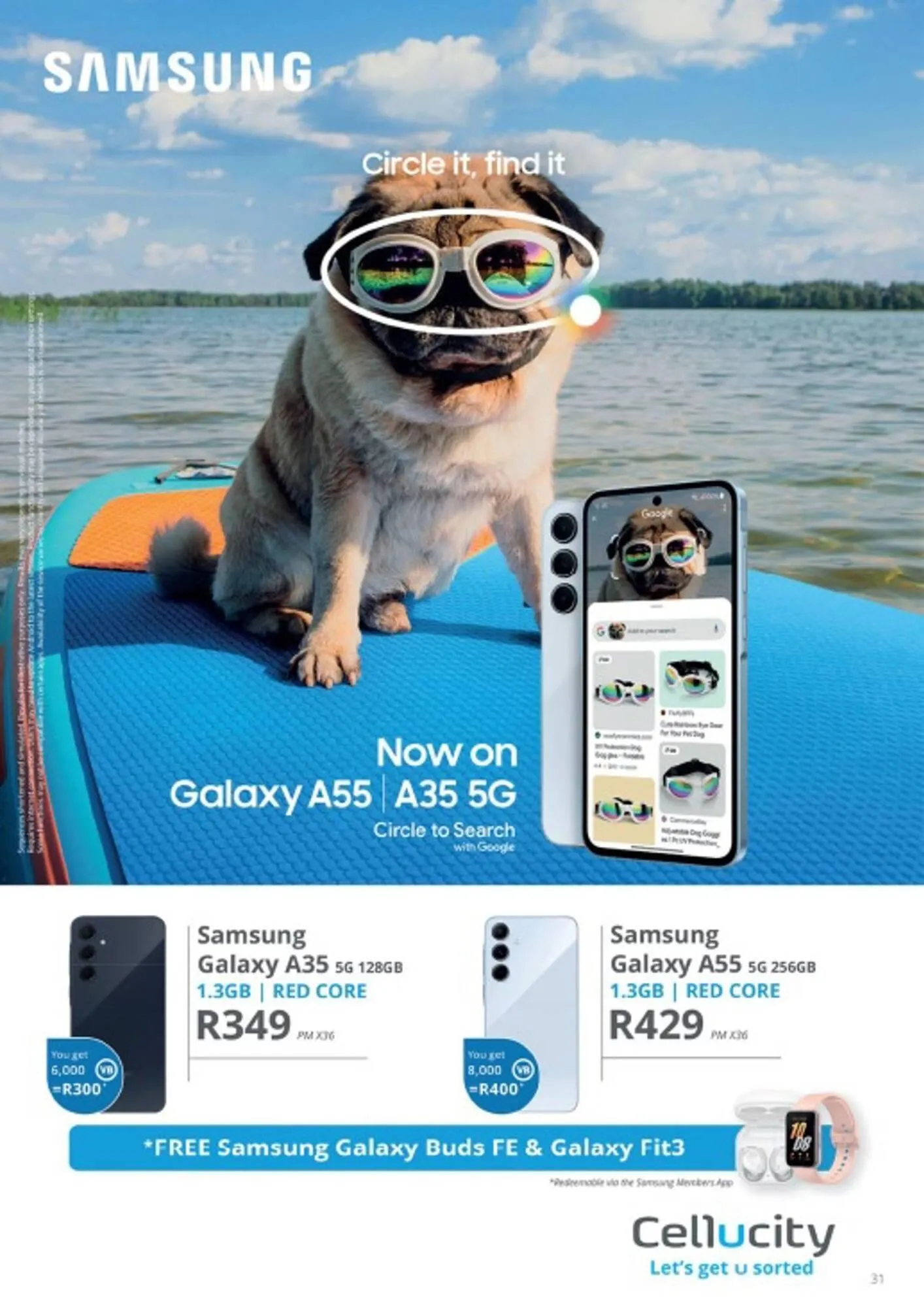 Cellucity catalogue from 7 November to 5 December 2024 - Catalogue Page 31