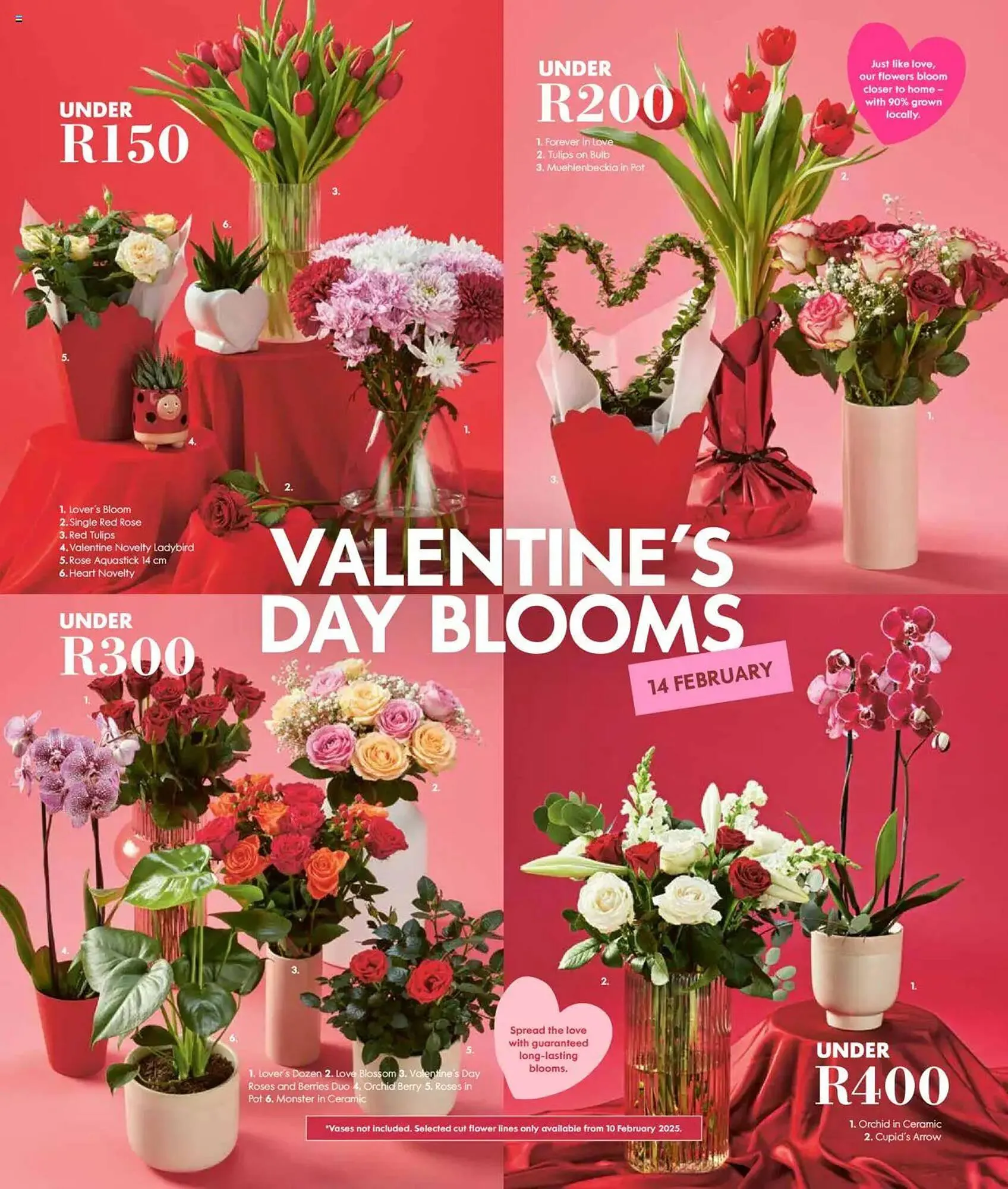 Woolworths catalogue from 3 February to 23 February 2025 - Catalogue Page 3