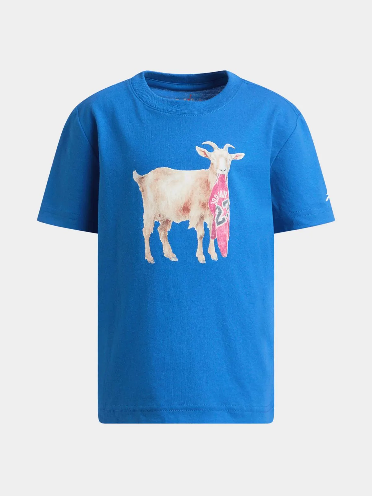 Jordan Boys Kids Goat Blue T-Shirt