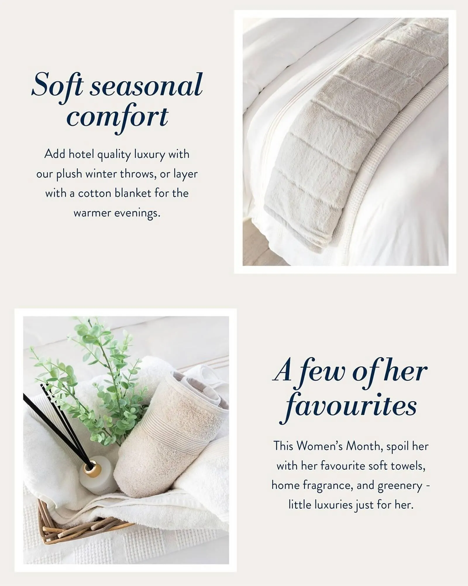 Volpes catalogue from 22 August to 28 August 2025 - Catalogue Page 3