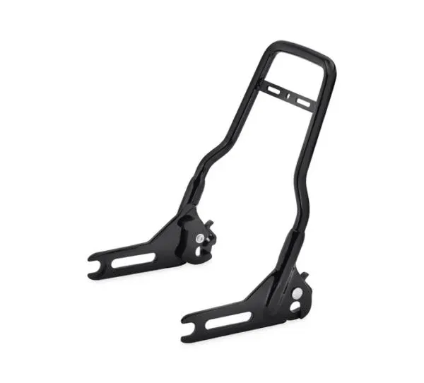 One-Piece H-D Detachables Sissy Bar