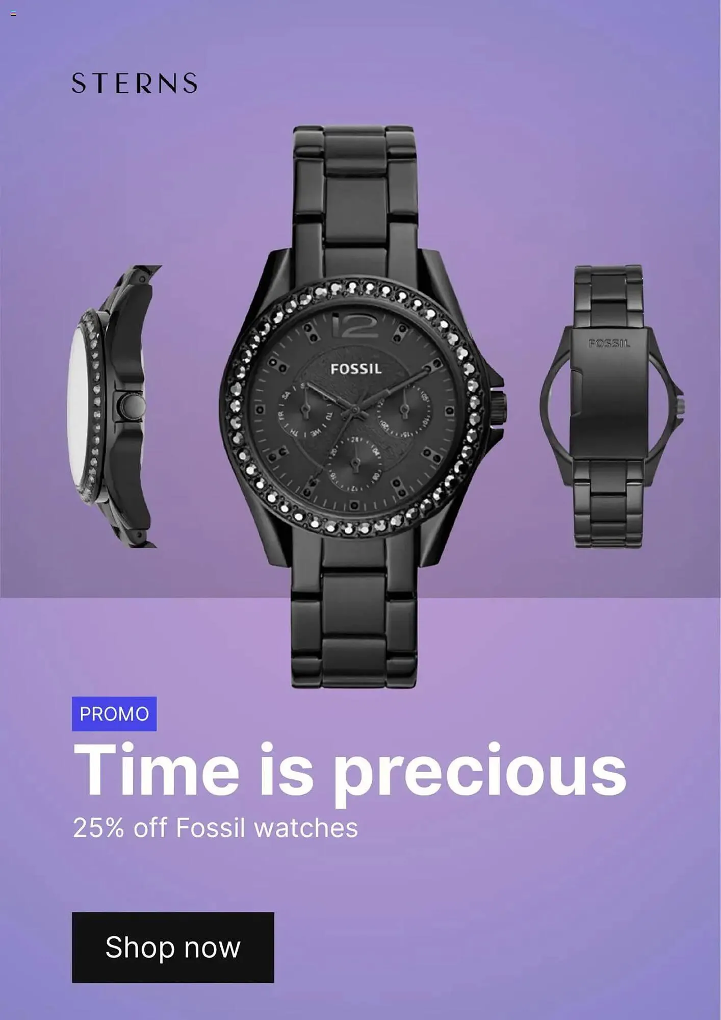 Sterns catalogue - 1